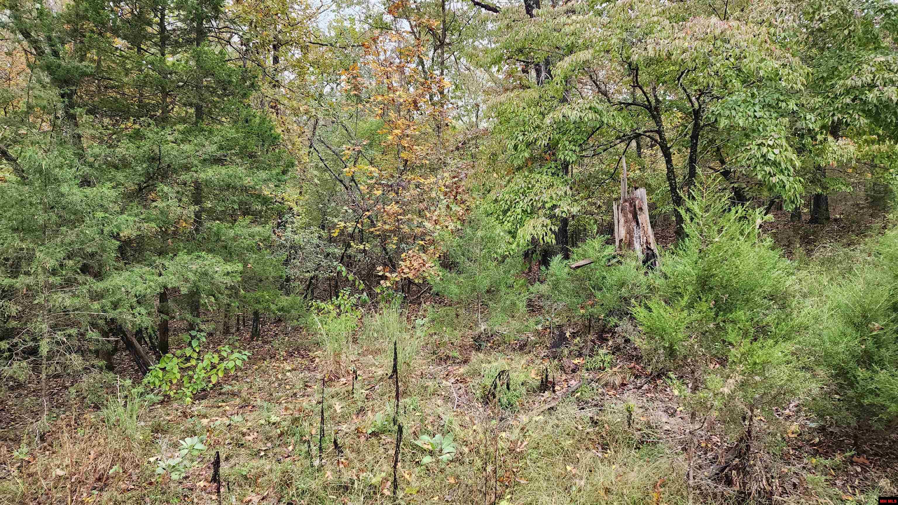 Lot 40 Bluffview Place