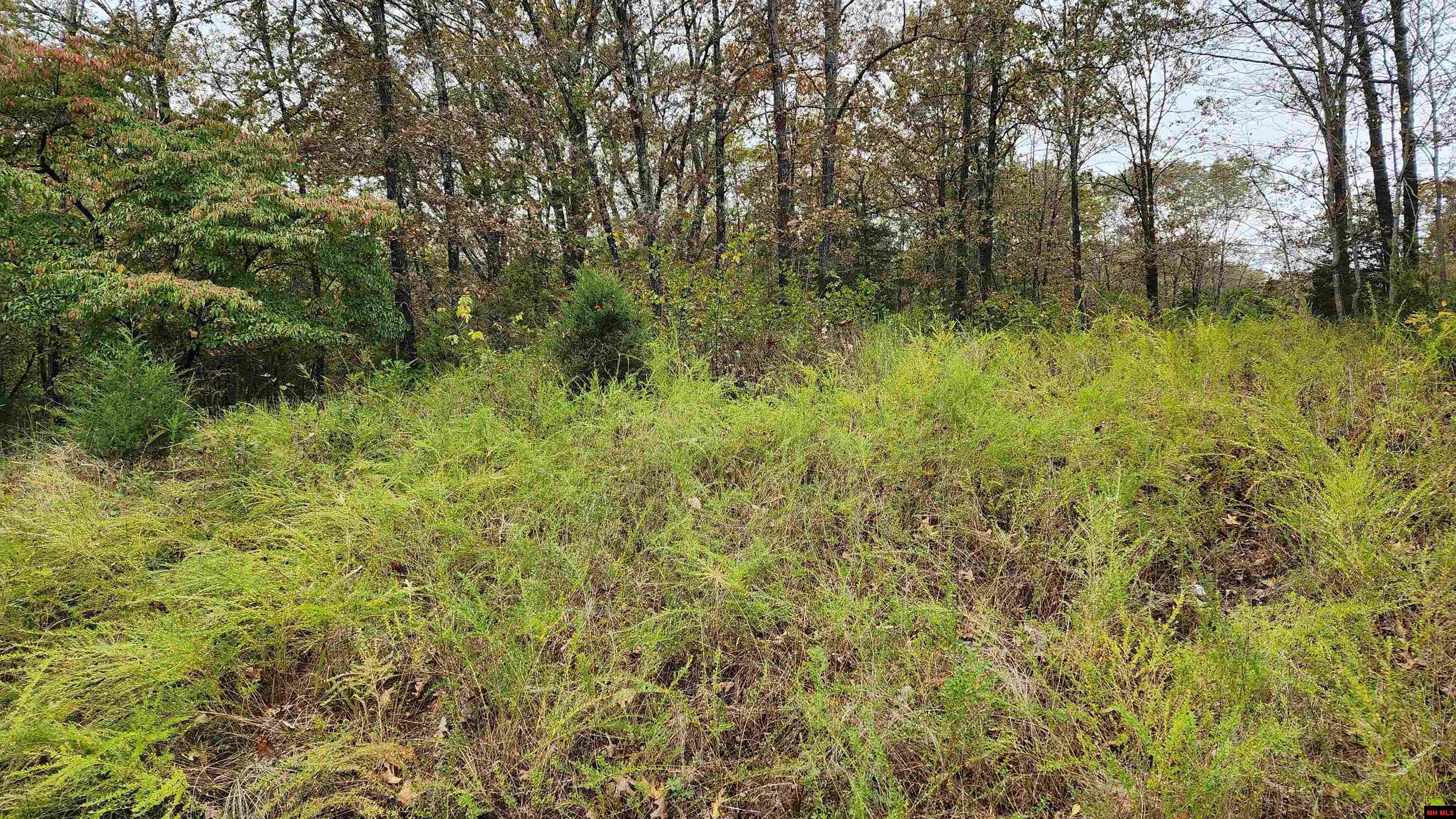 Lot 40 Bluffview Place