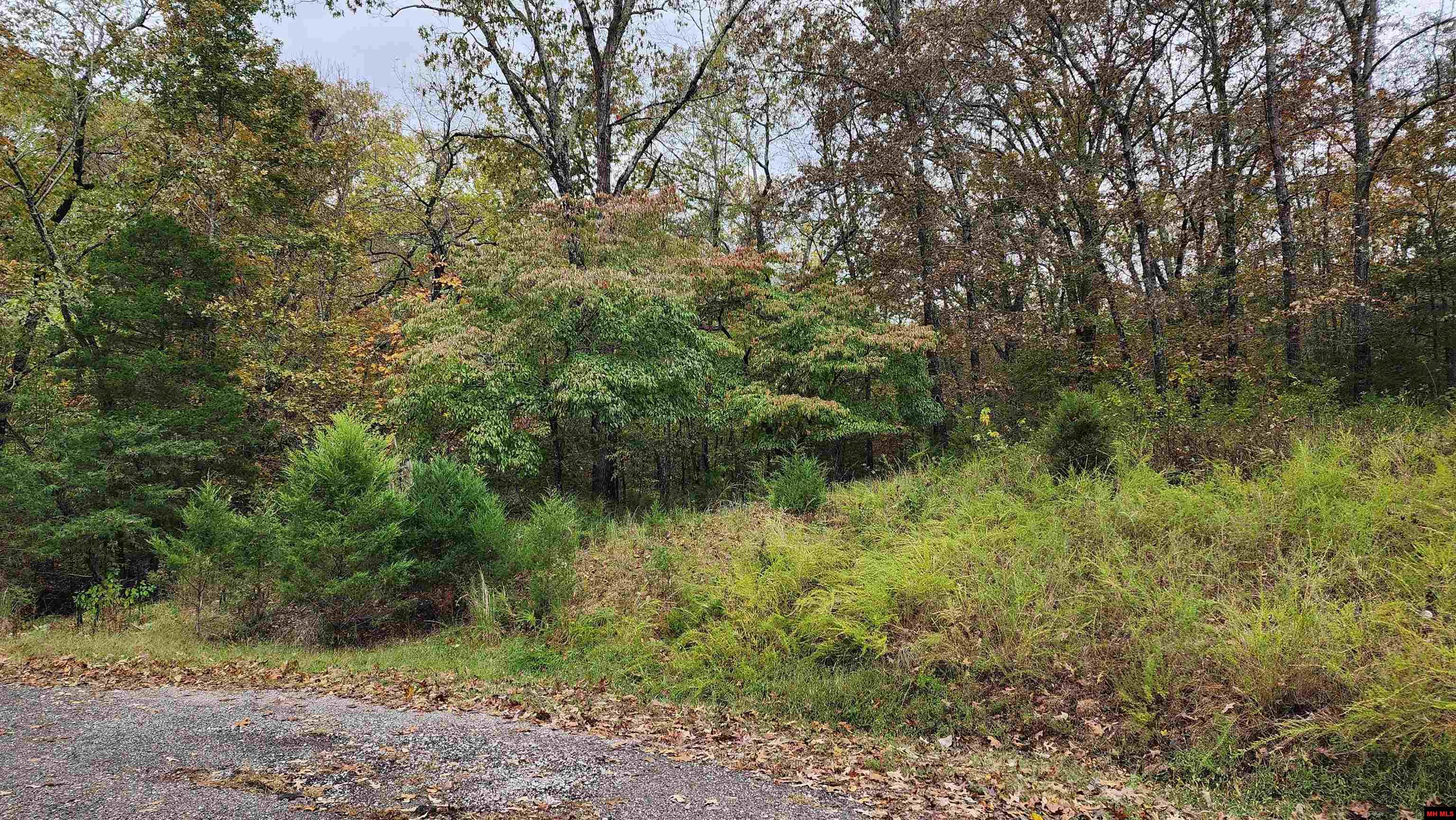 Lot 40 Bluffview Place