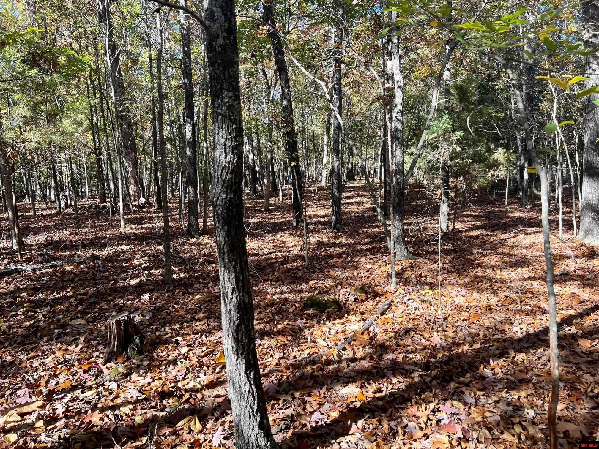 760 25348 000 Madrid Place