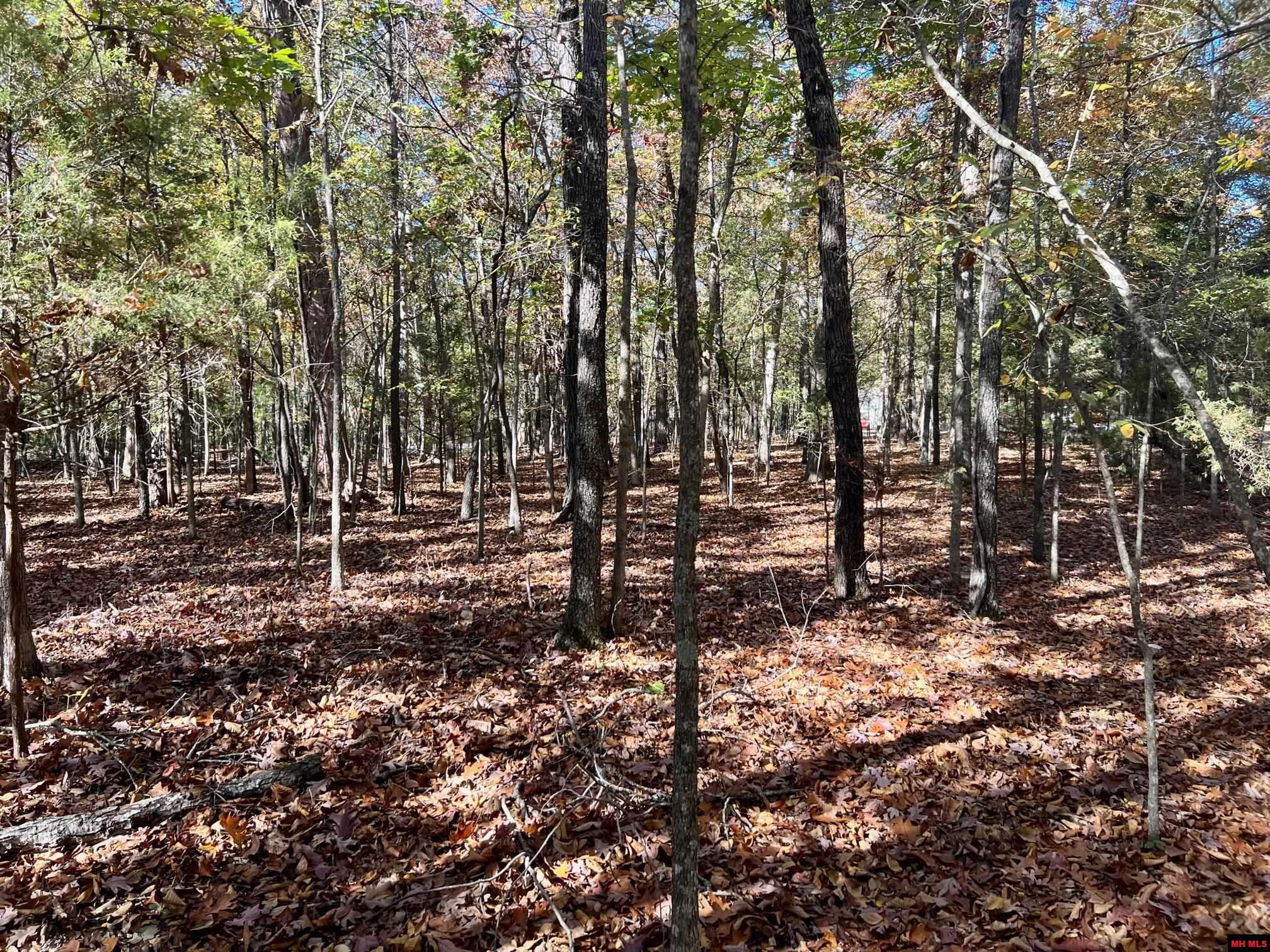 760 25348 000 Madrid Place