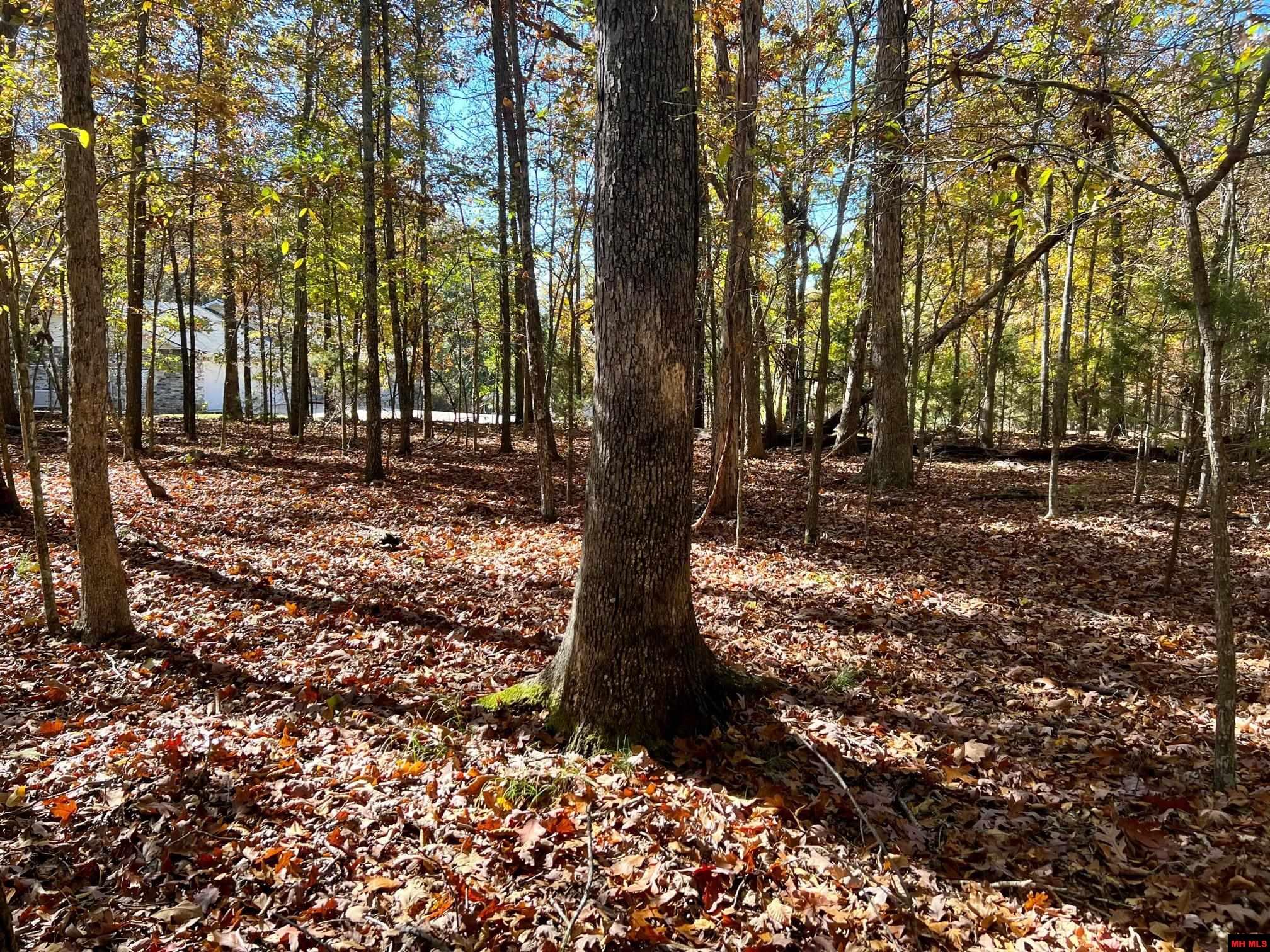 760 25348 000 Madrid Place