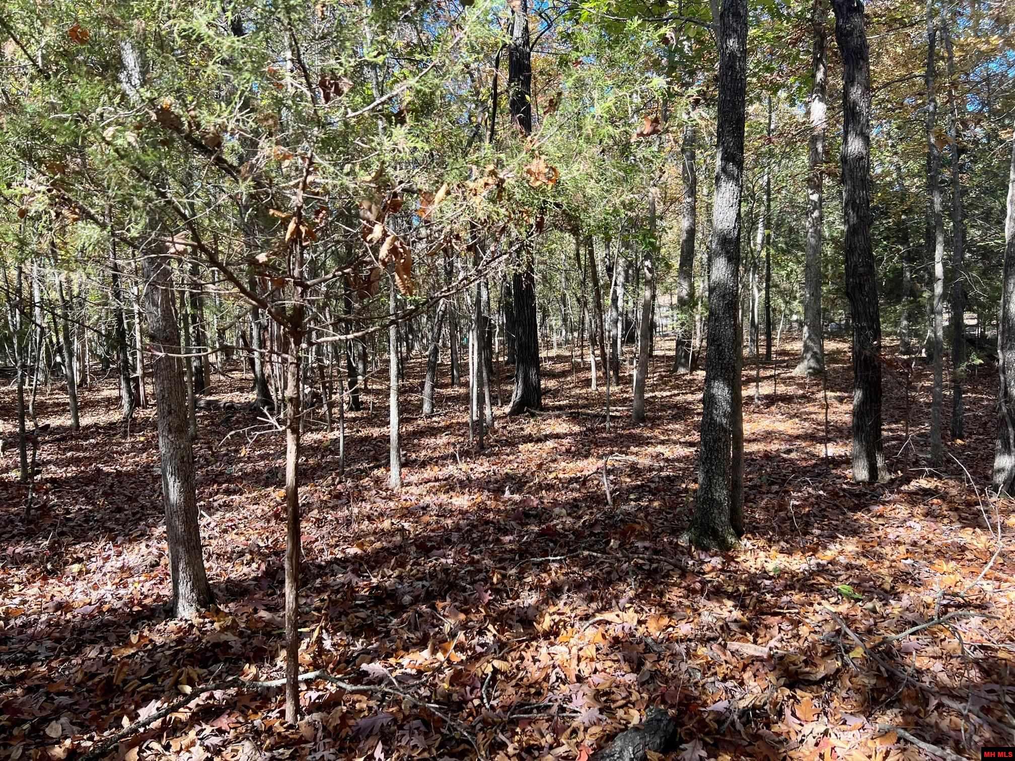 760 25348 000 Madrid Place