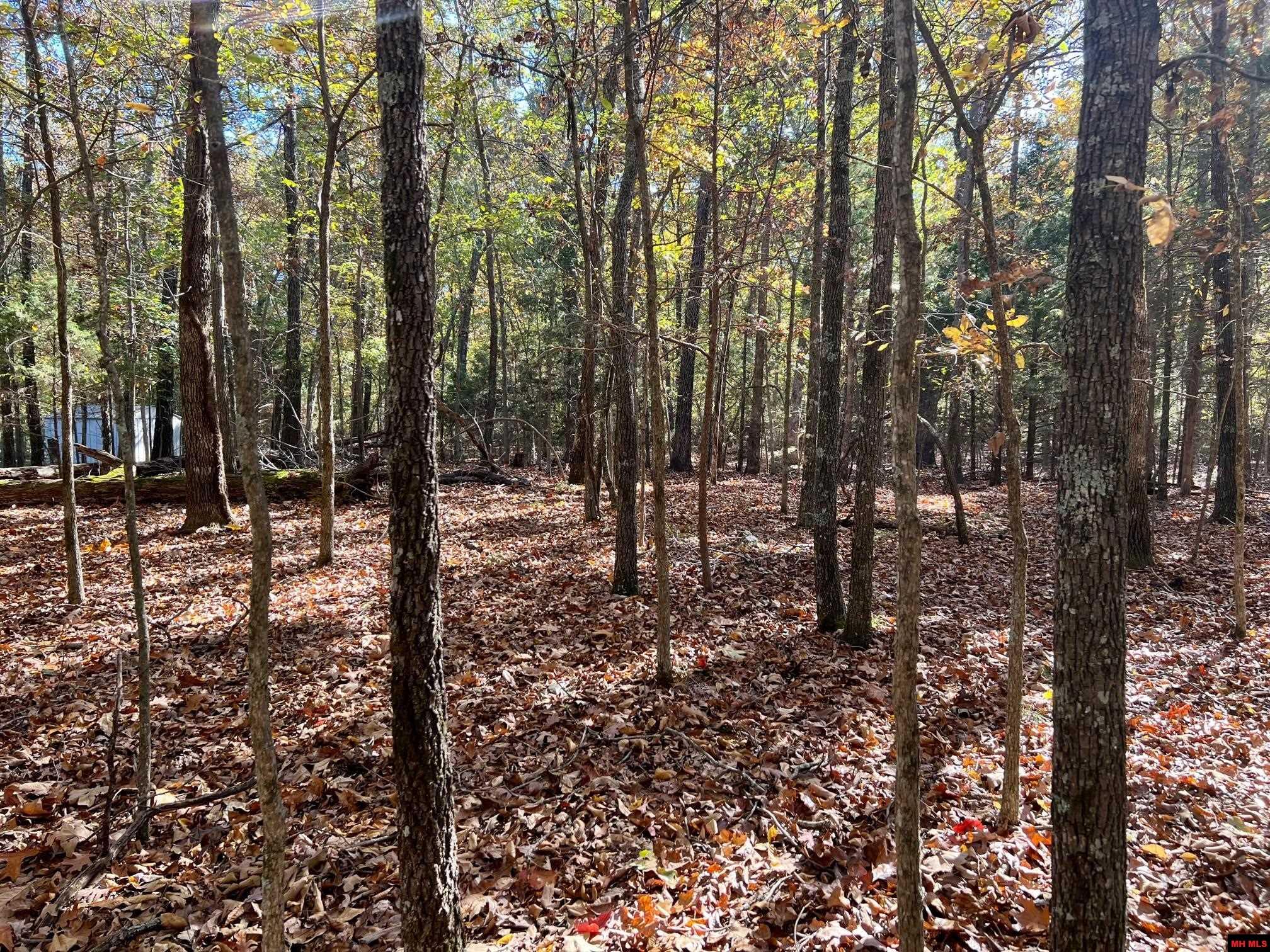 760 25348 000 Madrid Place