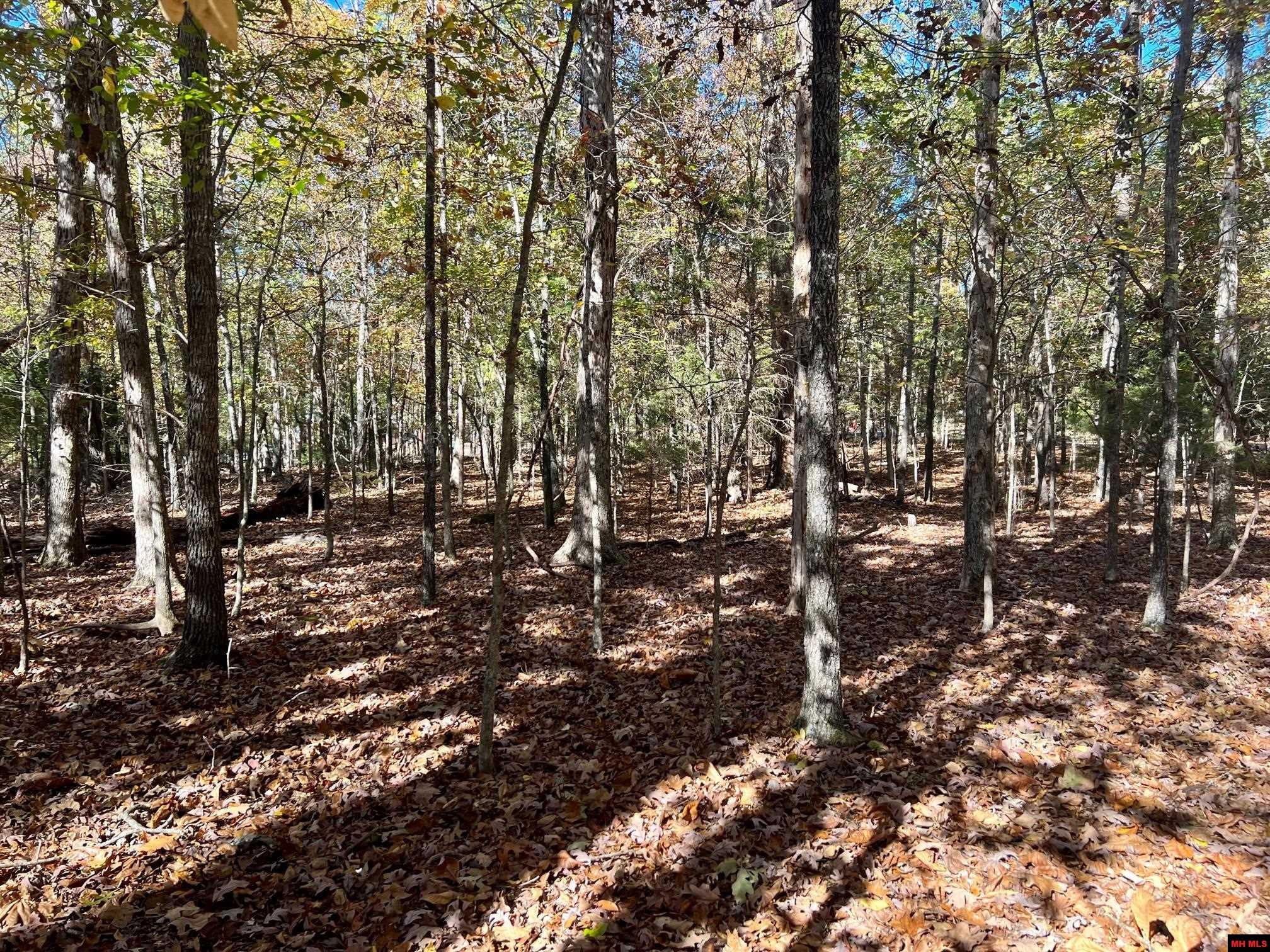 760 25348 000 Madrid Place