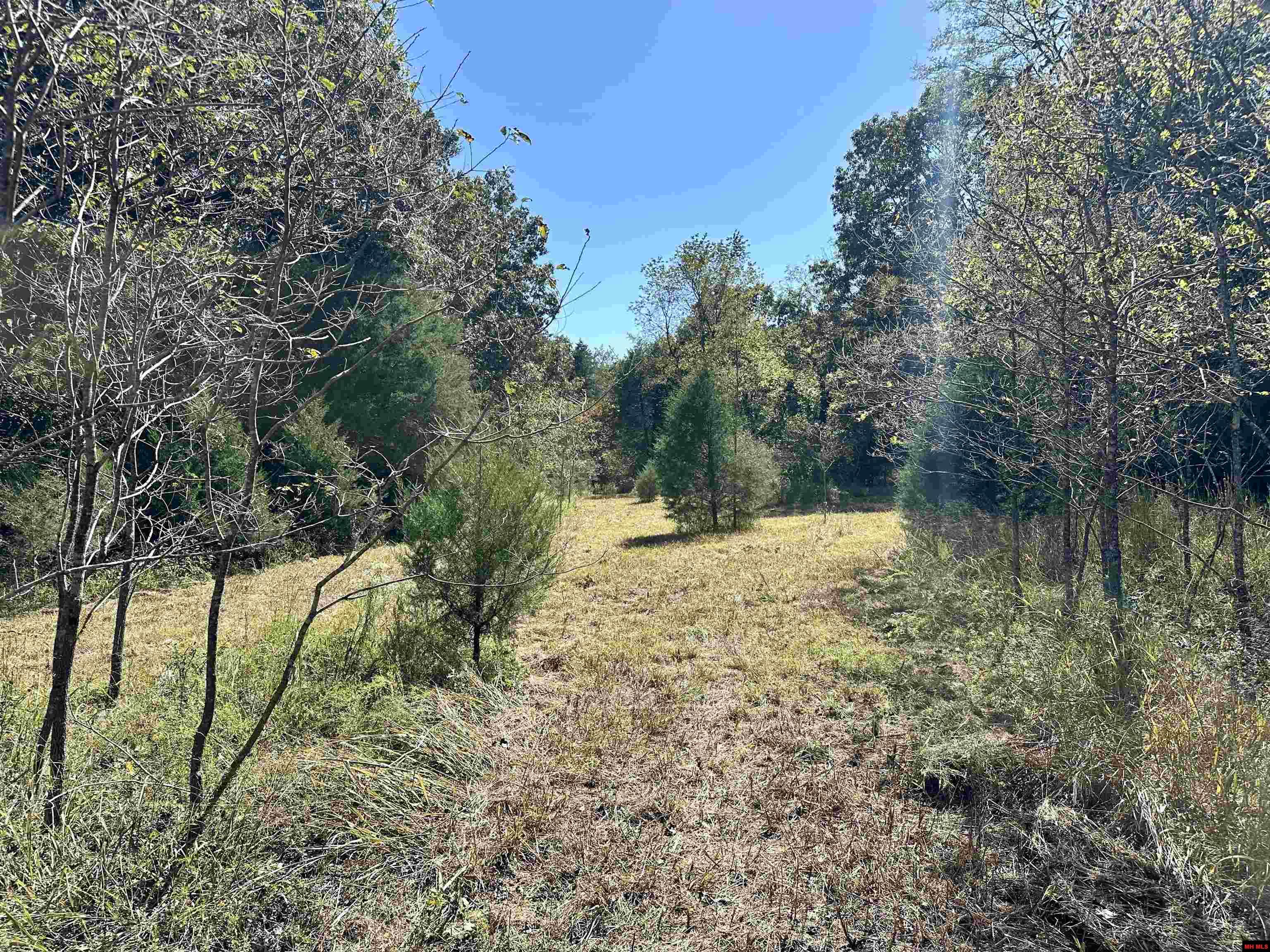 Lots 37 And 38 Bluffview Place