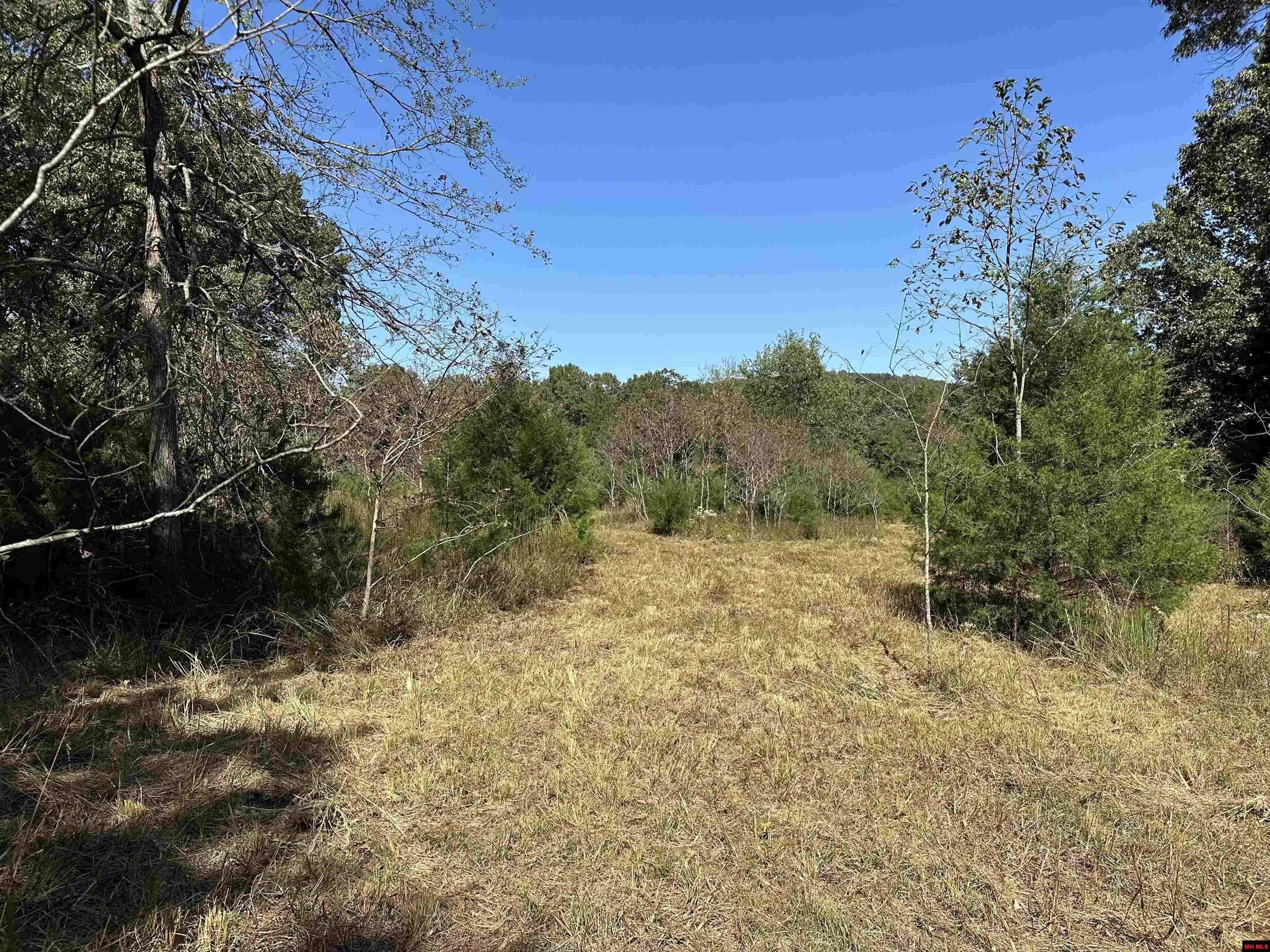 Lot 38 Bluffview Place