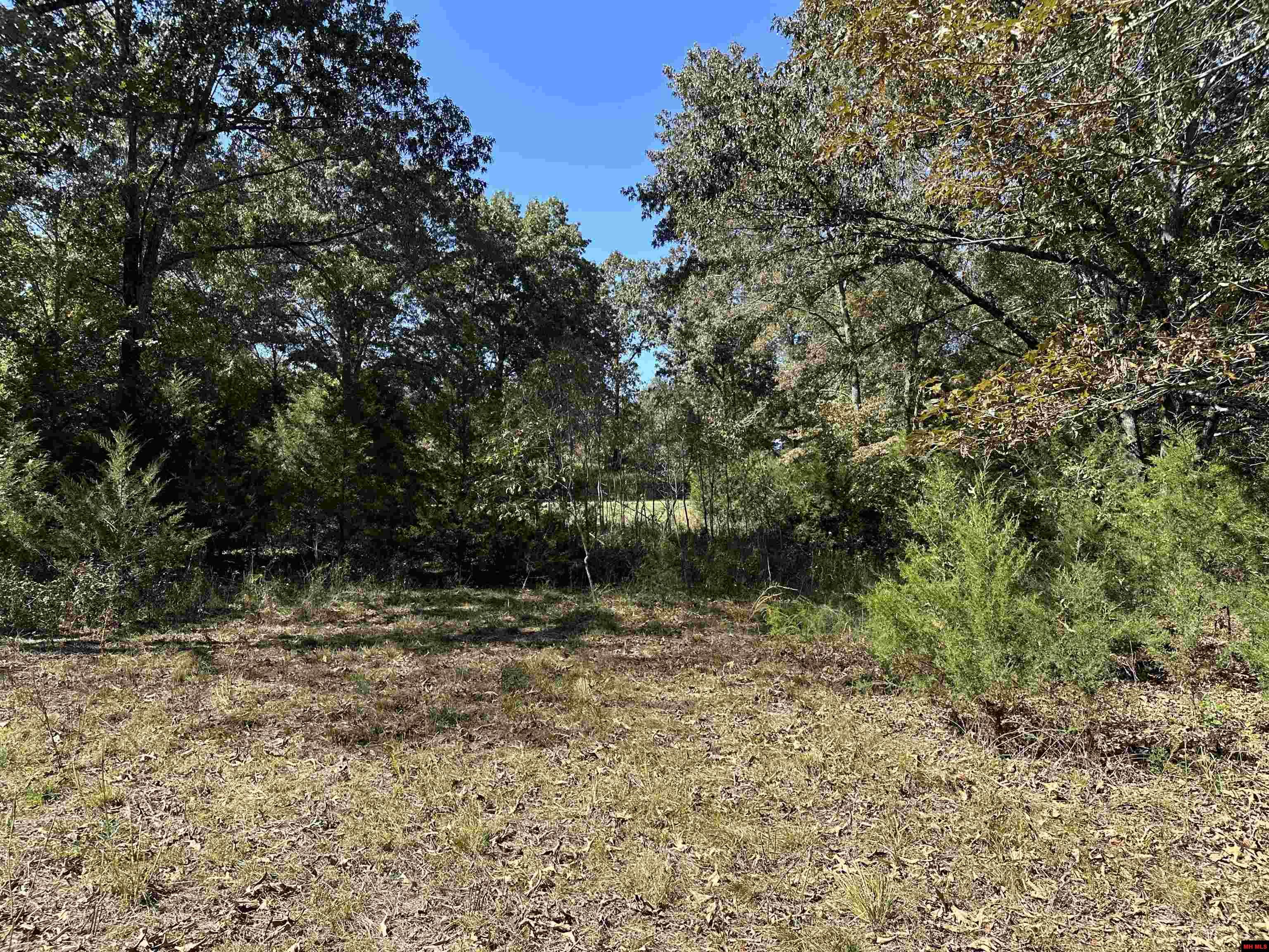 Lot 38 Bluffview Place