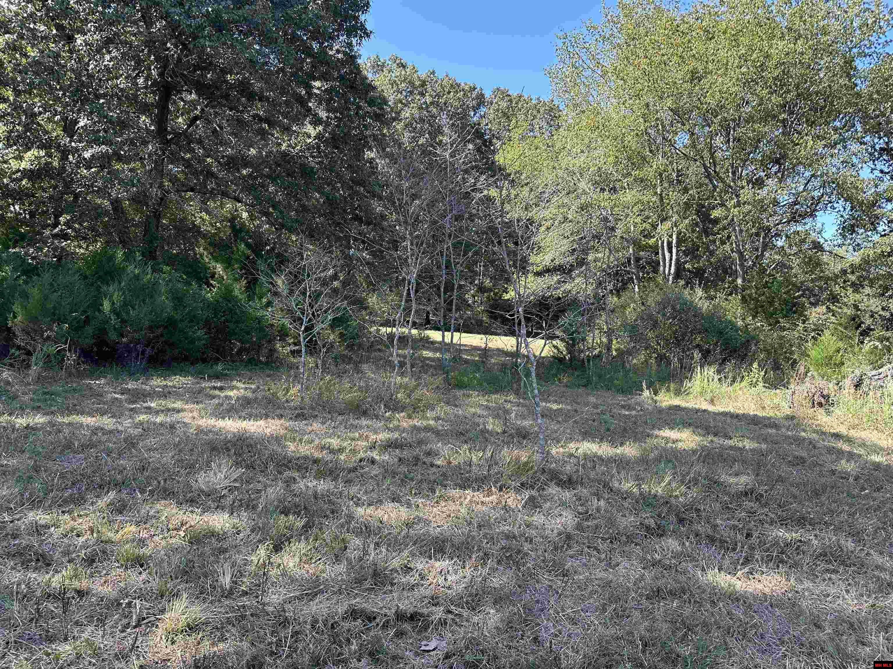 Lot 38 Bluffview Place