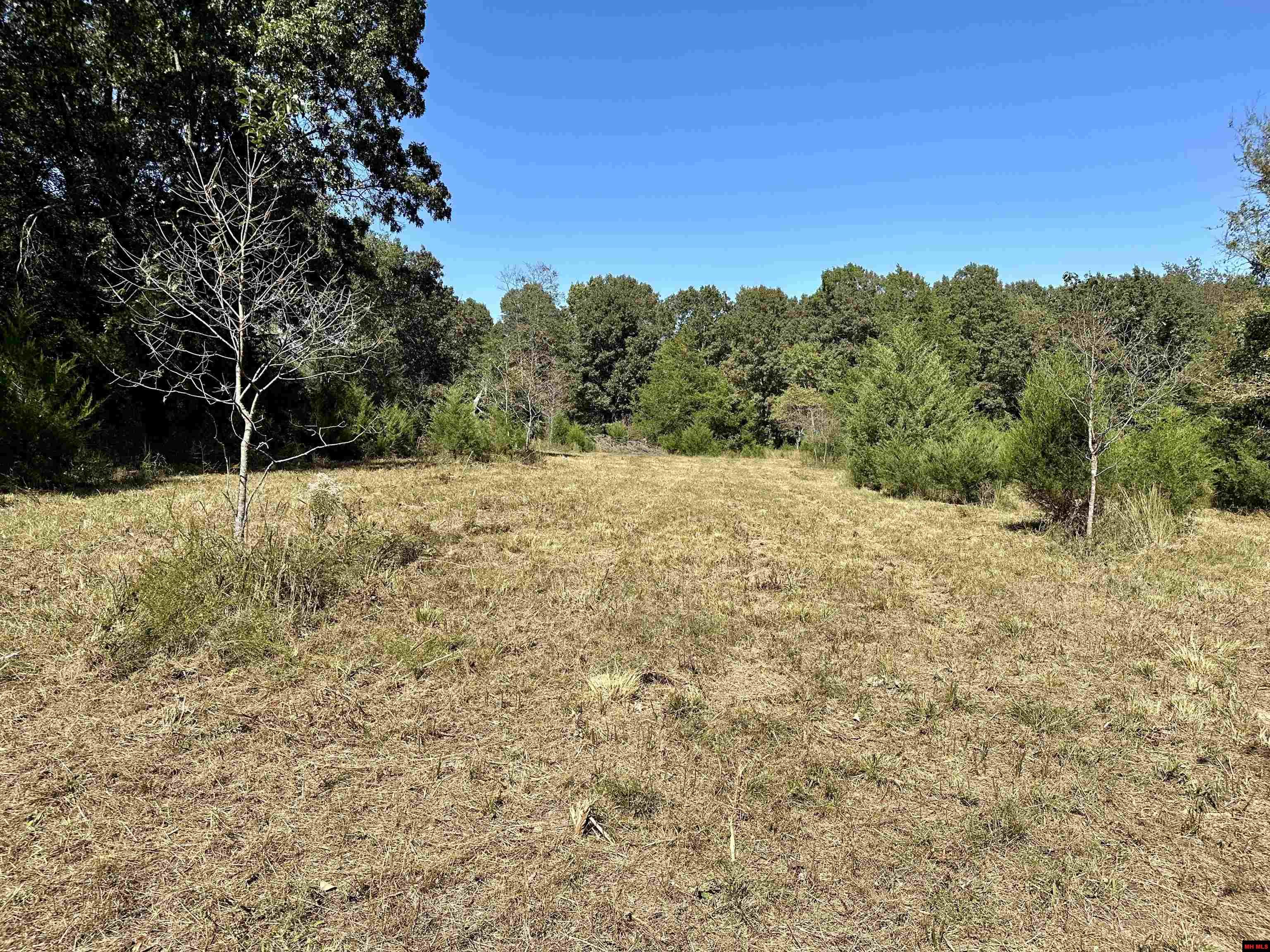 Lot 38 Bluffview Place