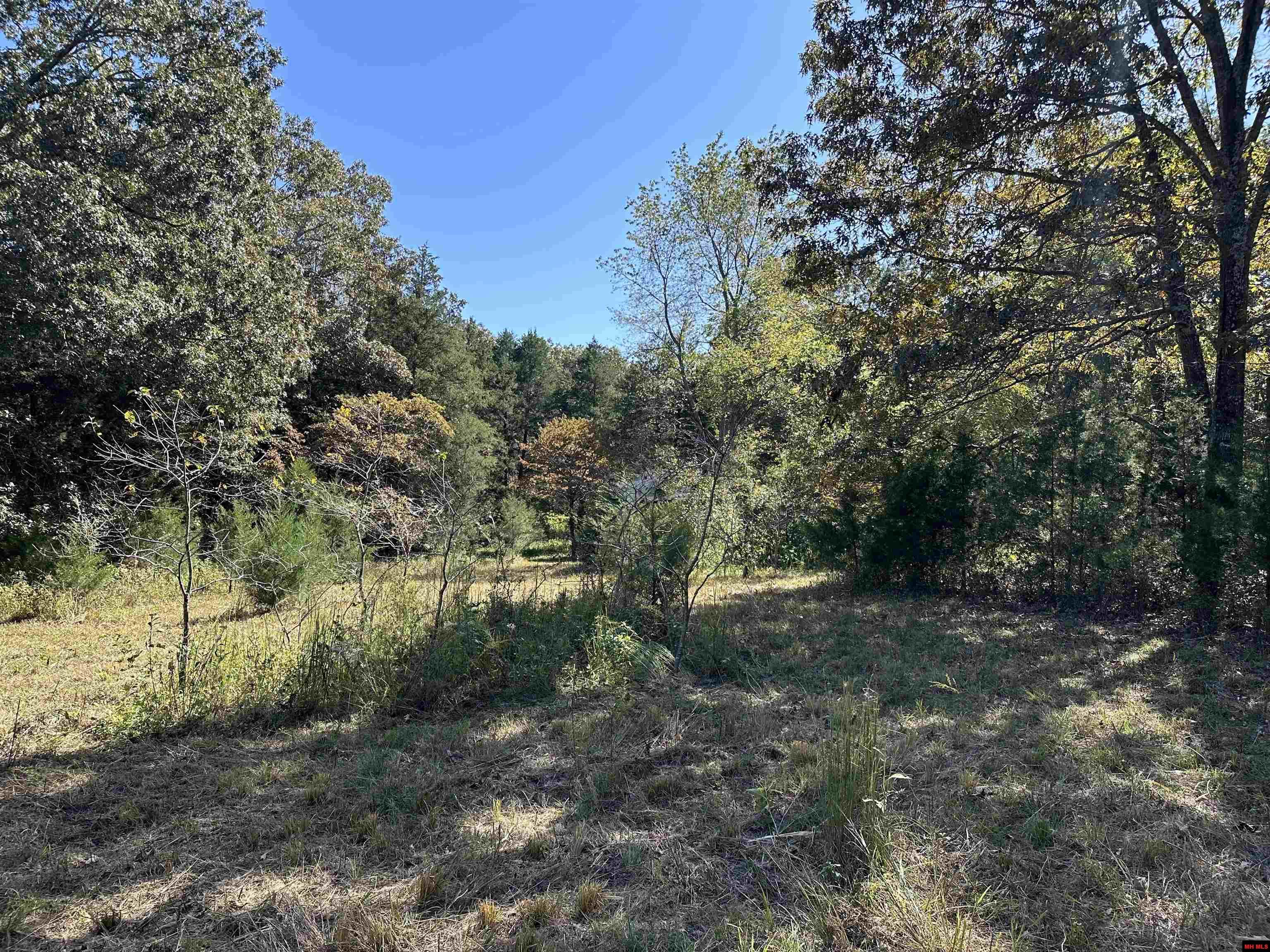 Lot 38 Bluffview Place