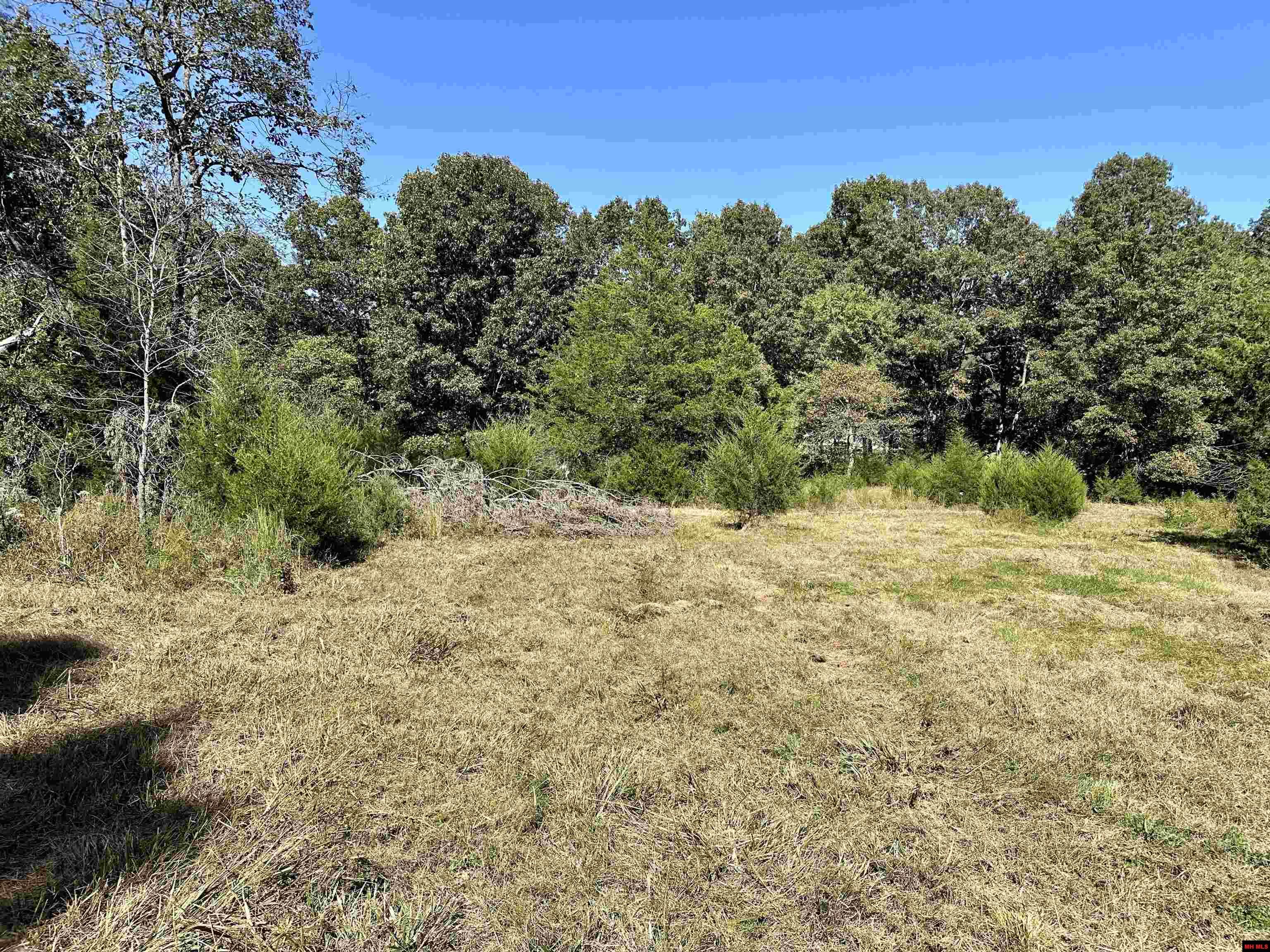 Lot 37 Bluffview Place