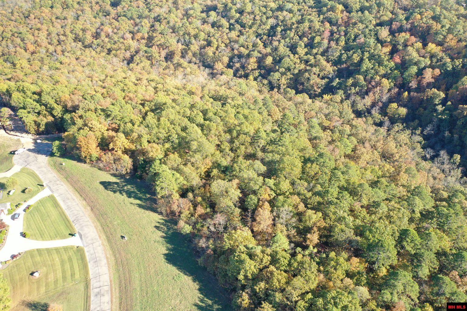 010-11219-046 Swiss Alps Lane