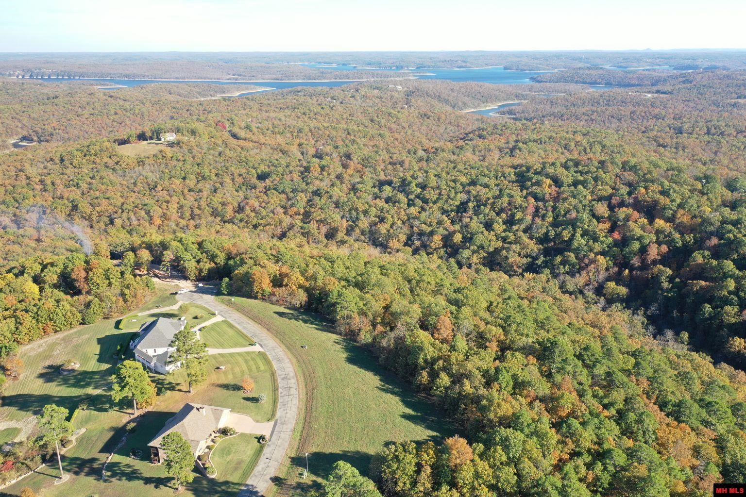 010-11219-046 Swiss Alps Lane