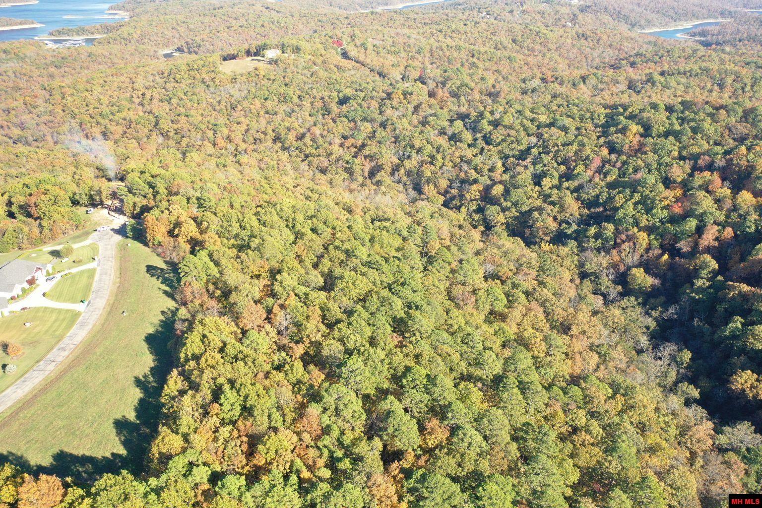 010-11219-046 Swiss Alps Lane