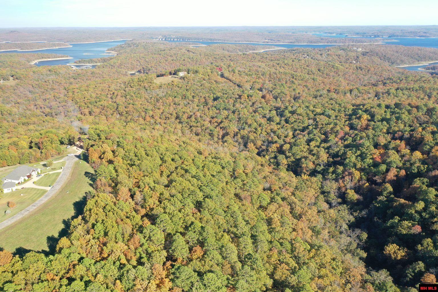 010-11219-046 Swiss Alps Lane