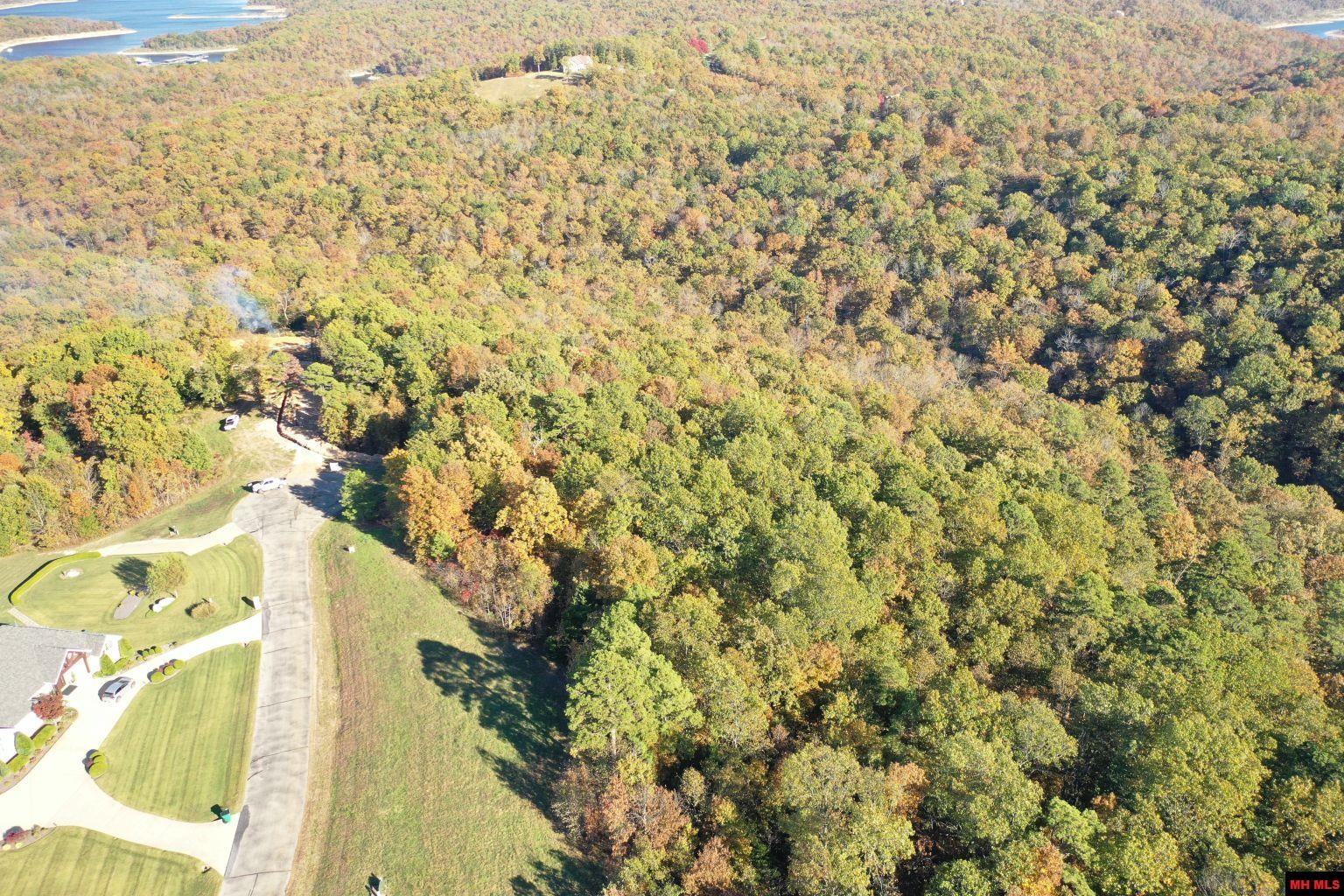 010-11219-046 Swiss Alps Lane