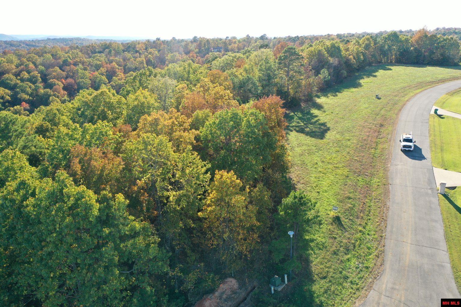 010-11219-046 Swiss Alps Lane