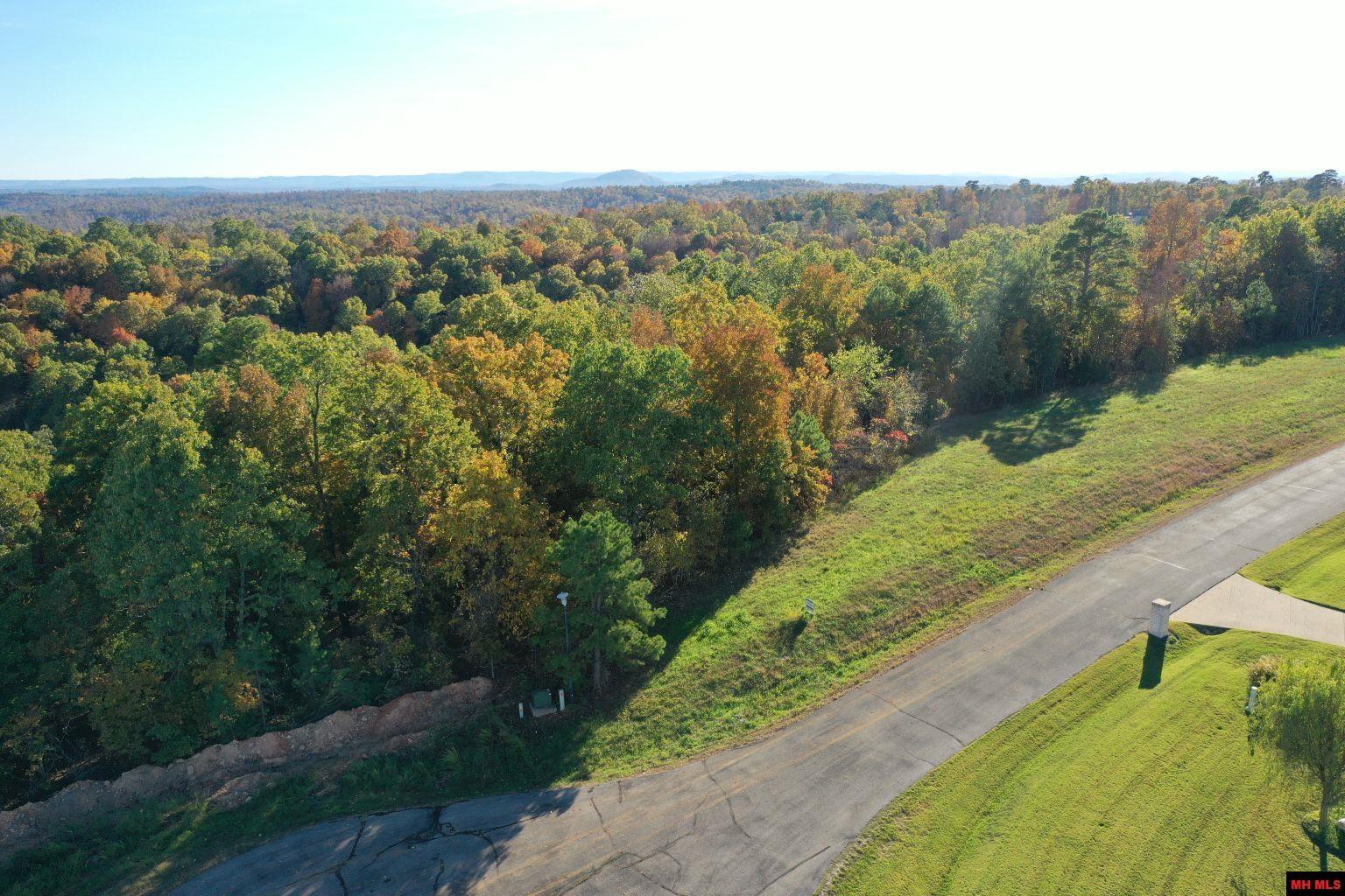 010-11219-046 Swiss Alps Lane