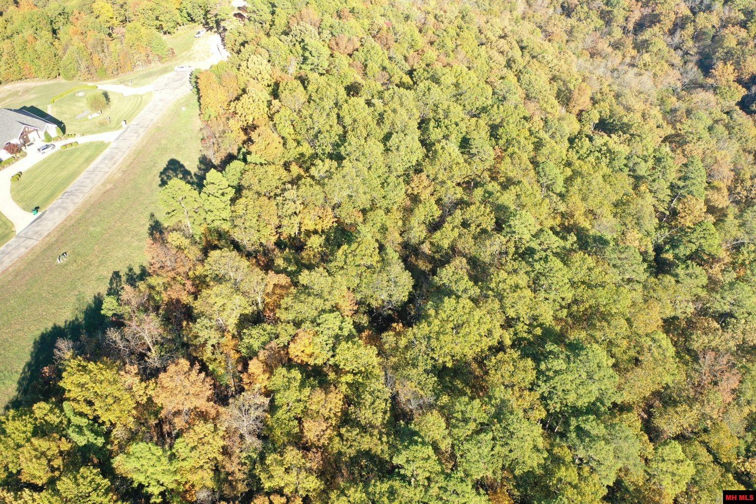 010-11219-046 Swiss Alps Lane