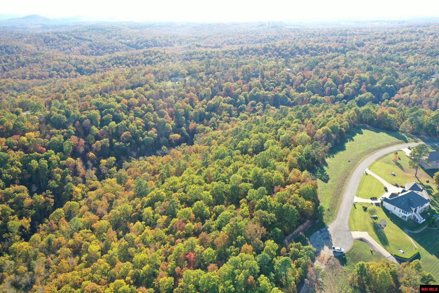 010-11219-046 Swiss Alps Lane