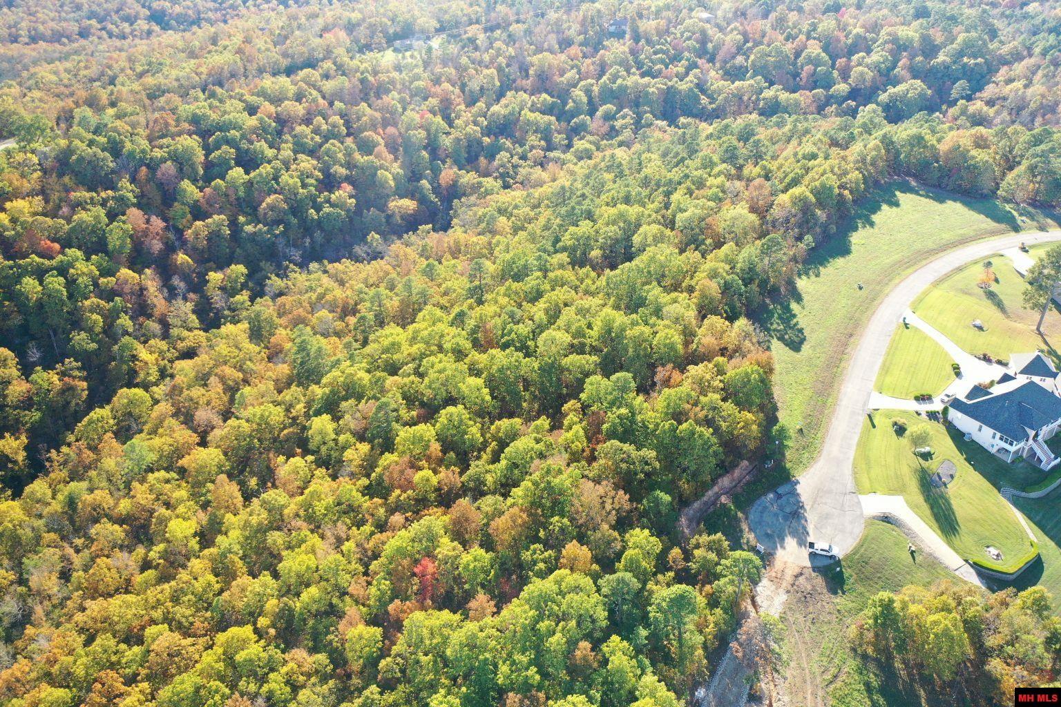 010-11219-046 Swiss Alps Lane