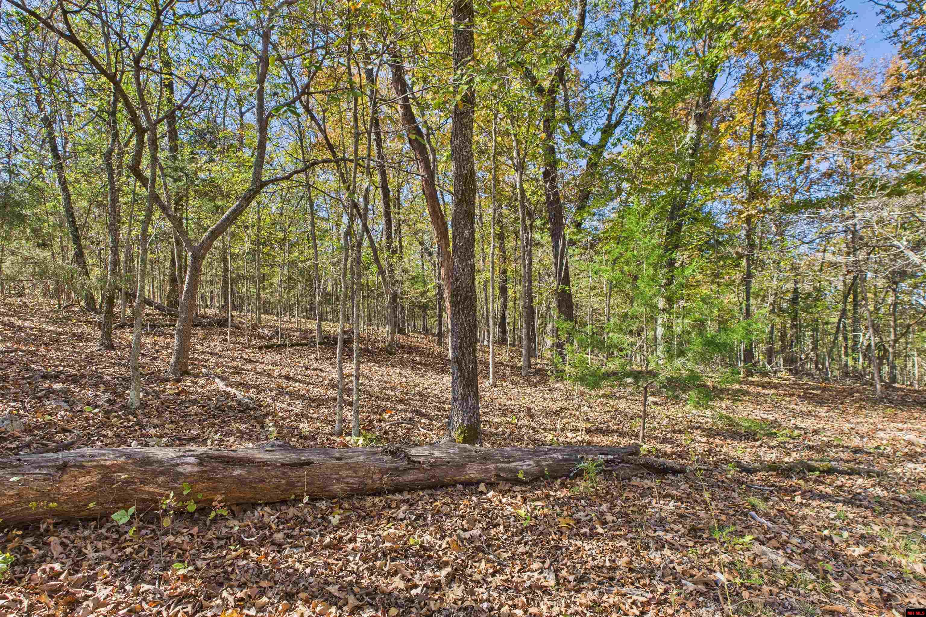 23 AVANT CIRCLE Gamaliel, AR