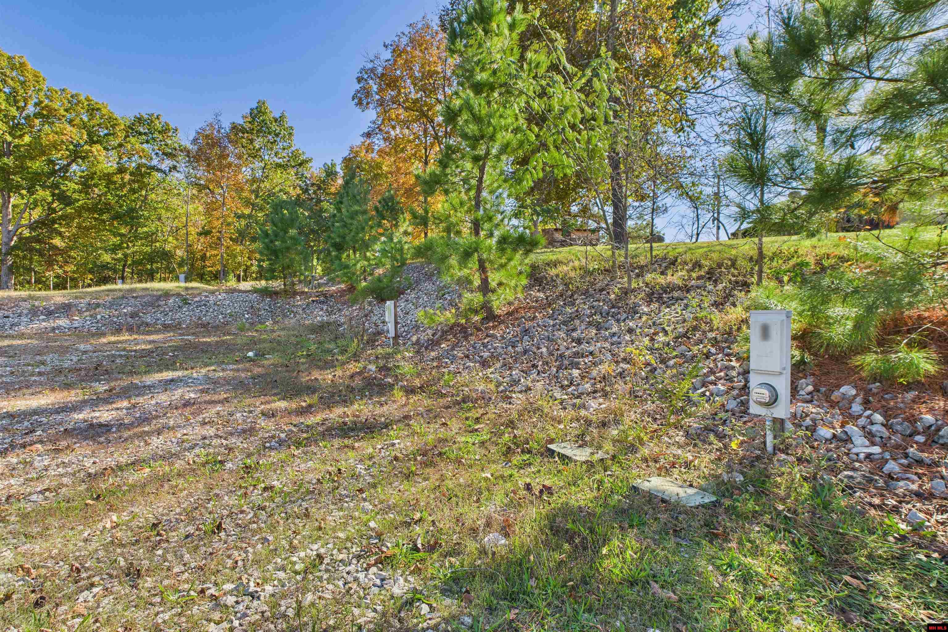 23 AVANT CIRCLE Gamaliel, AR