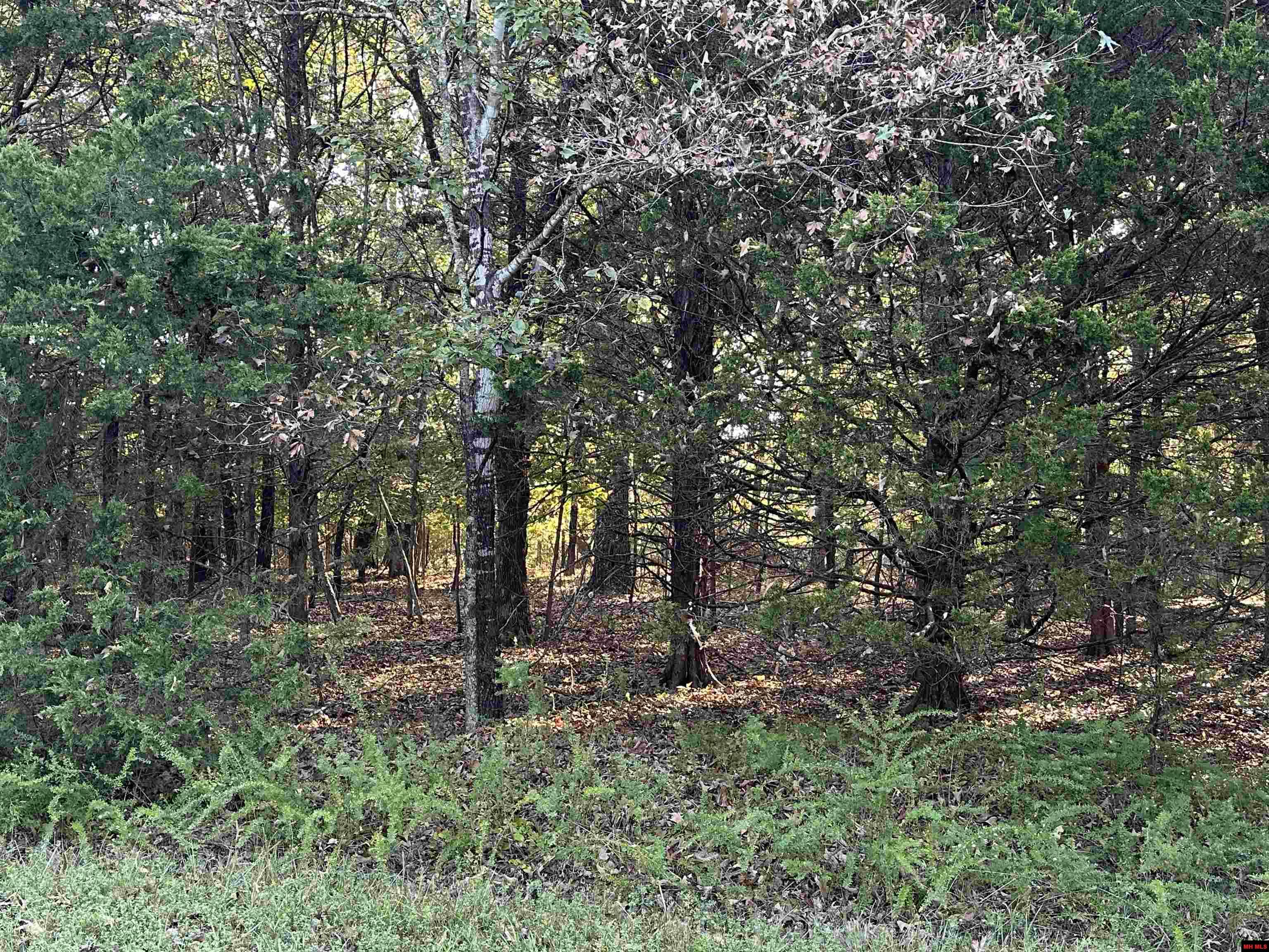 002-04923-009 Hand Cove Road