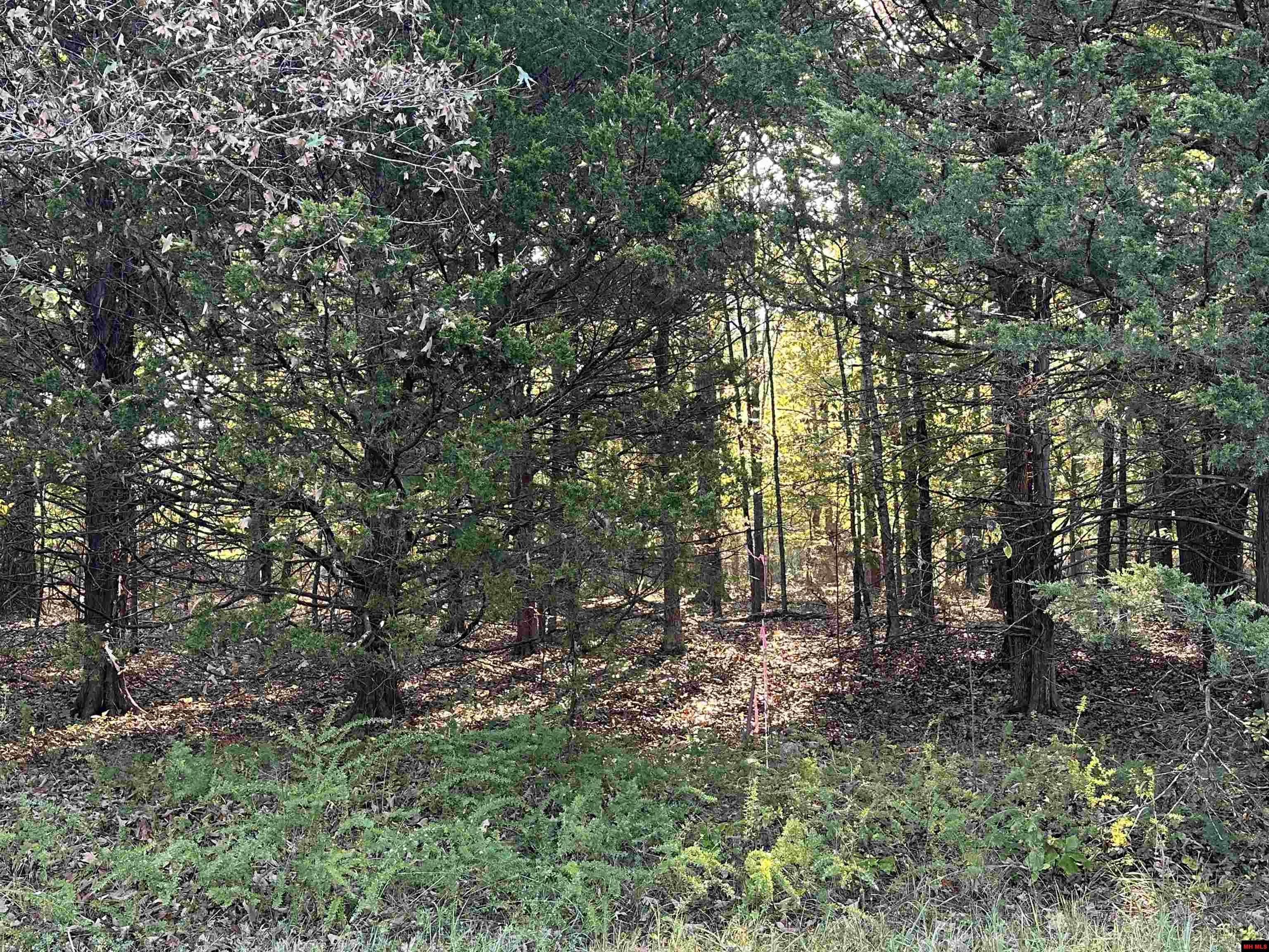 002-04923-009 Hand Cove Road