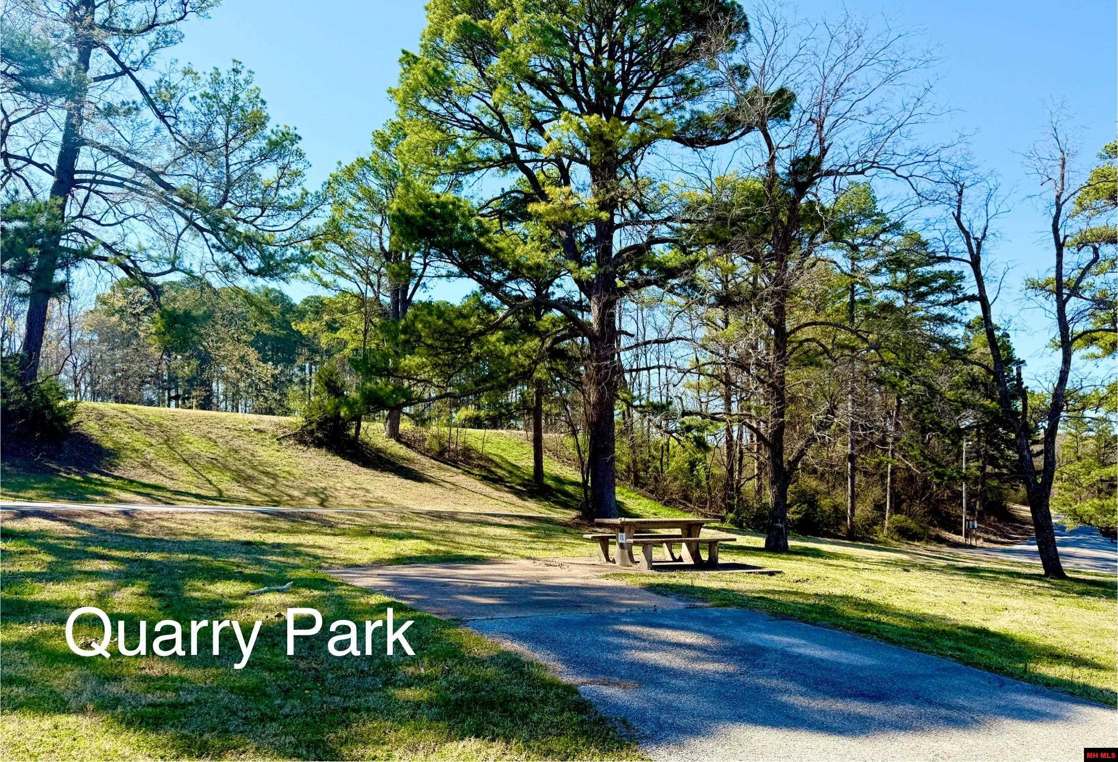 010-01589-000 Canmore