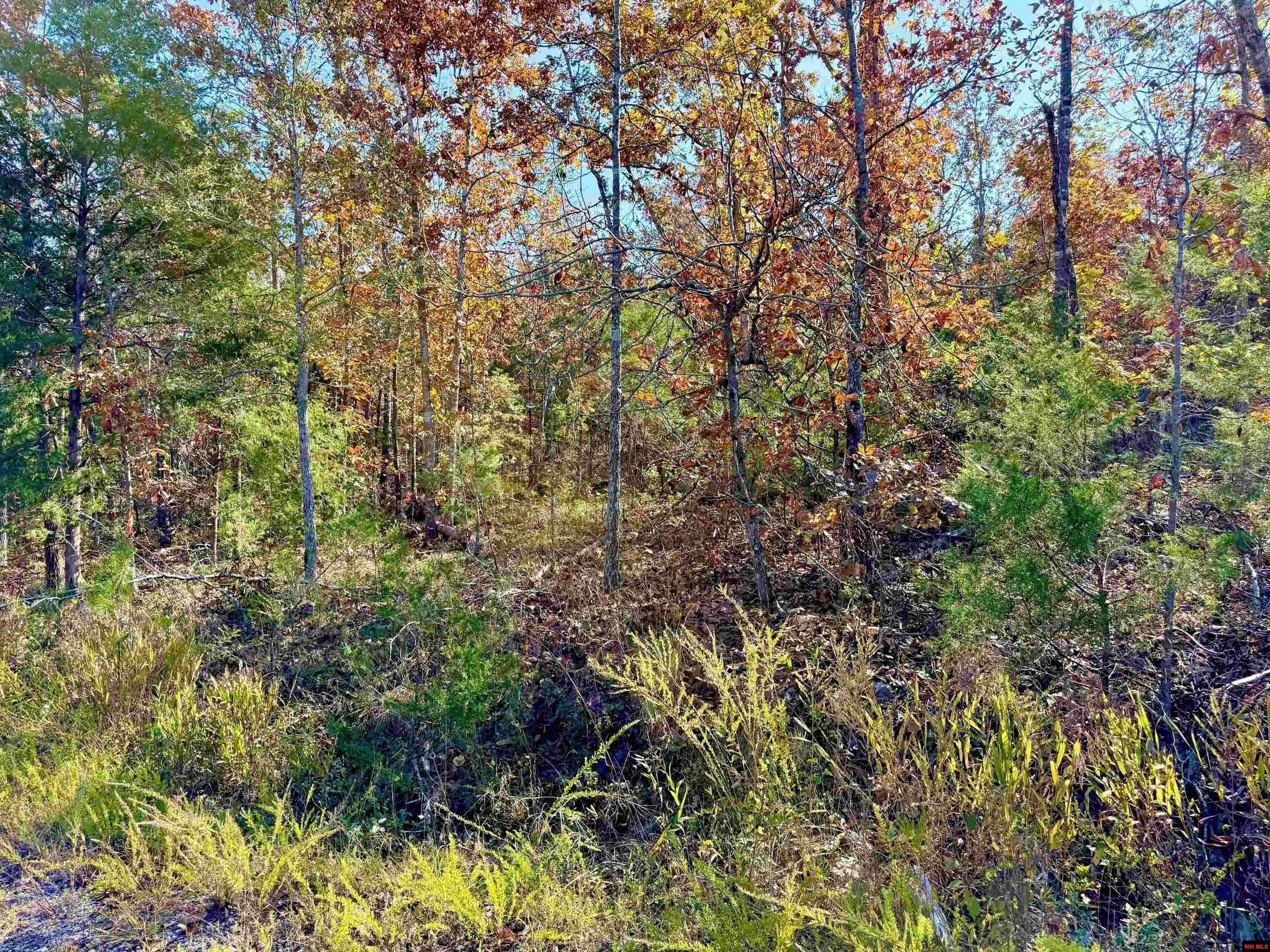 010-01589-000 Canmore