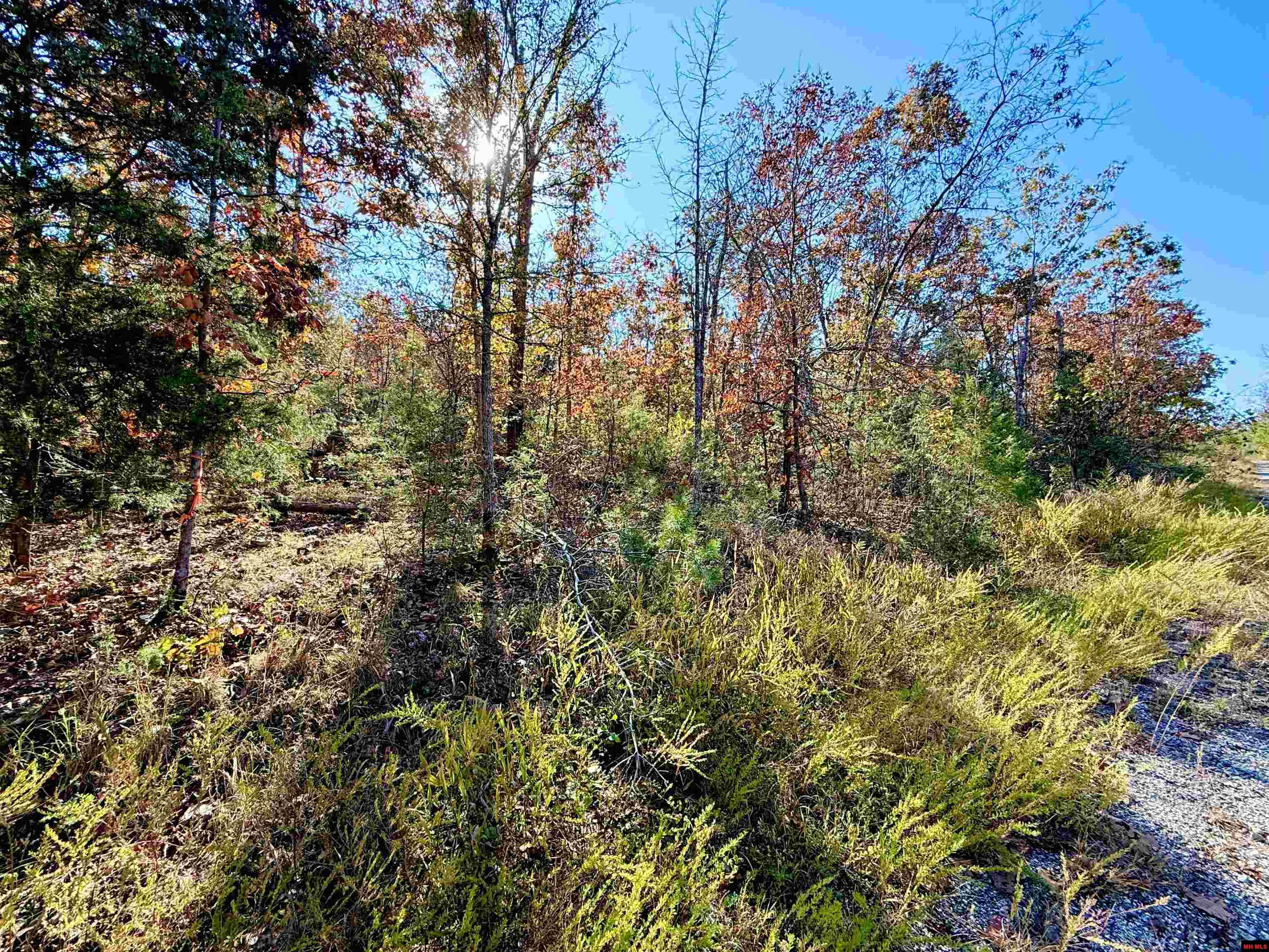 010-01589-000 Canmore