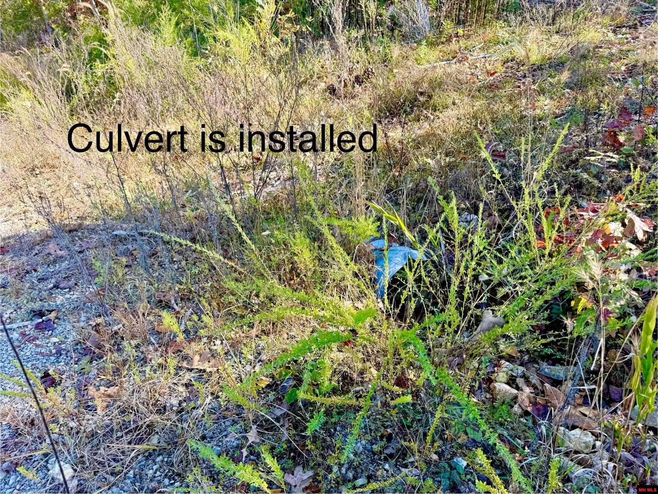 010-01589-000 Canmore