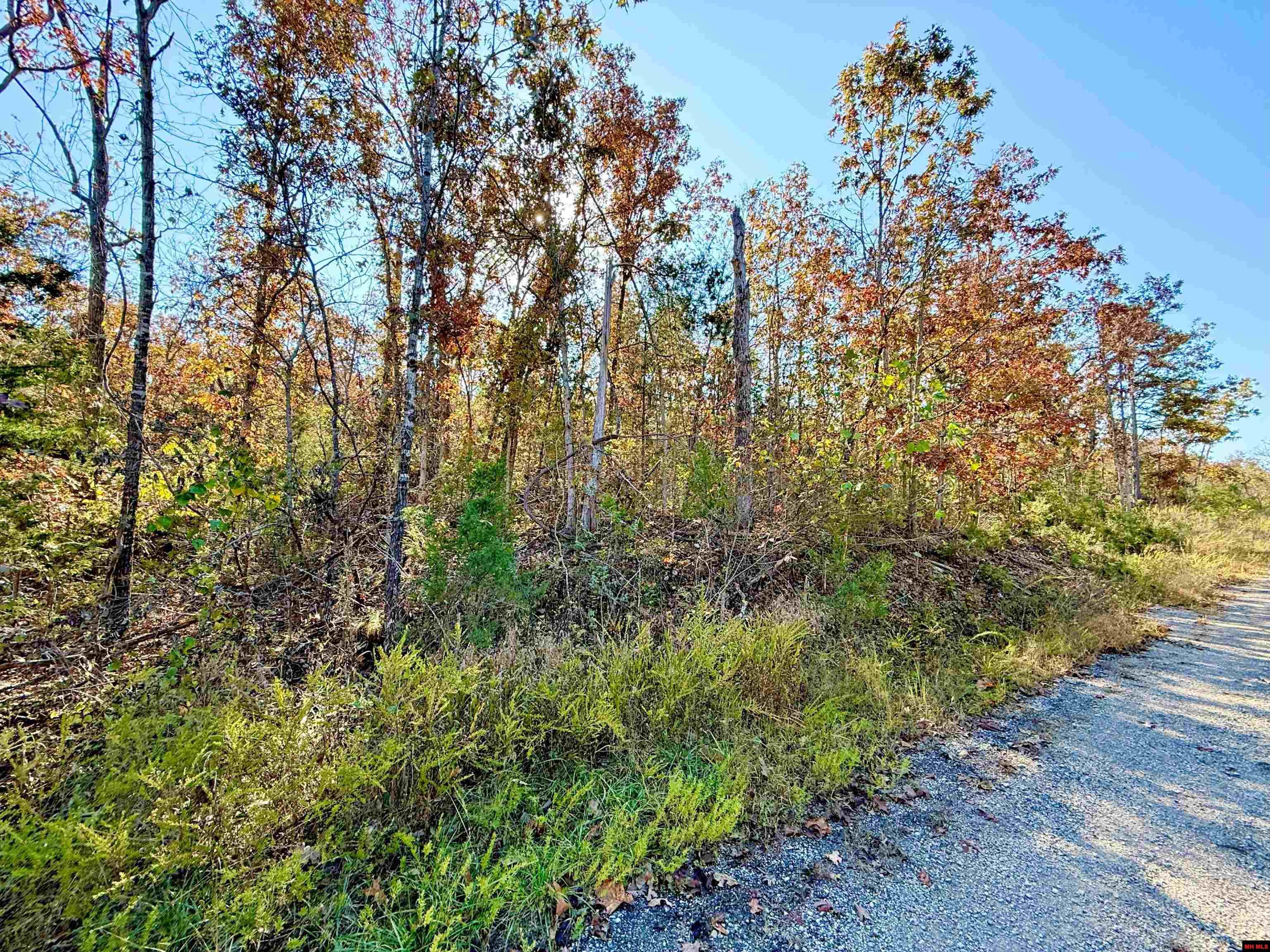 010-01589-000 Canmore