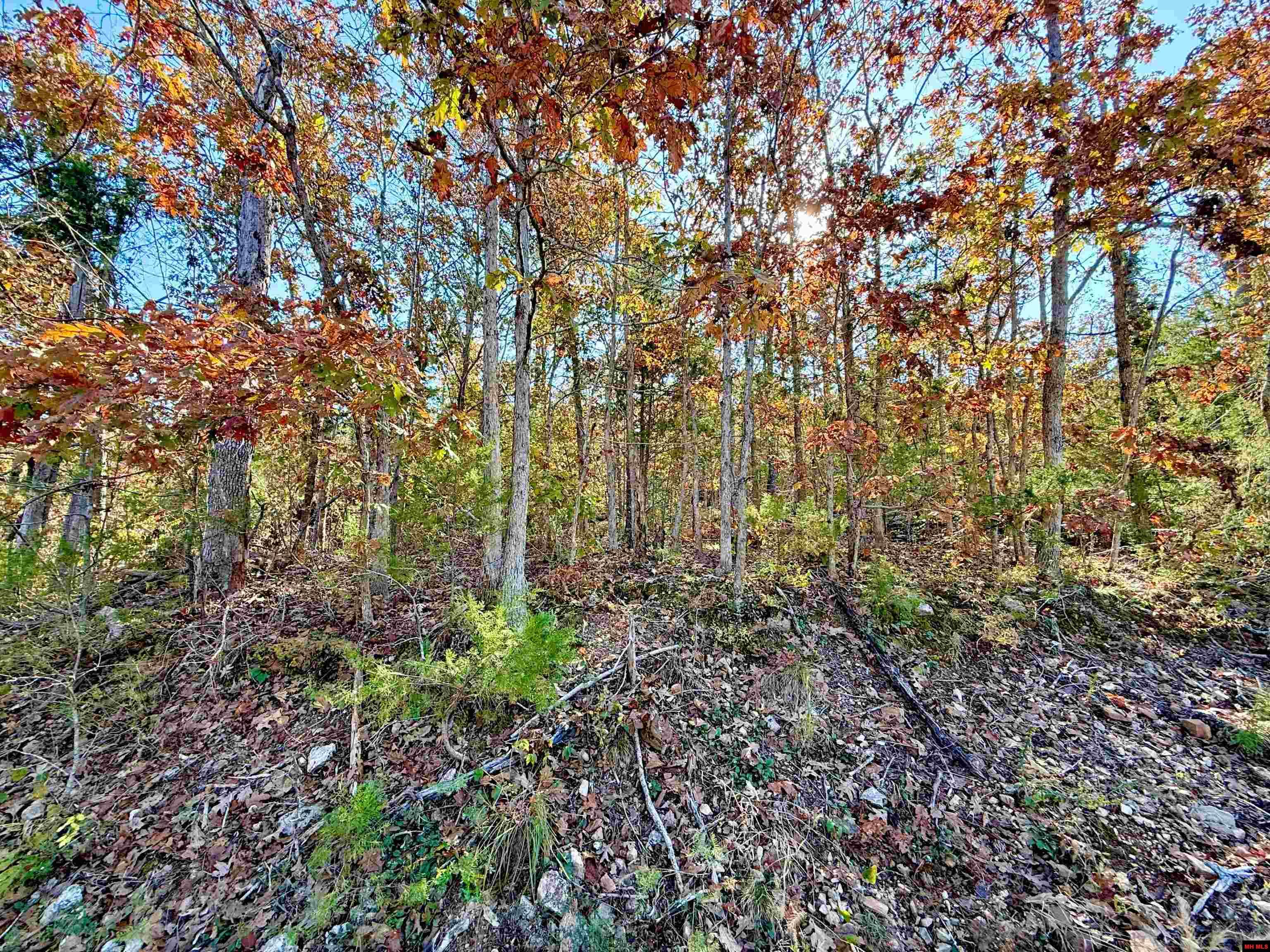 010-01589-000 Canmore