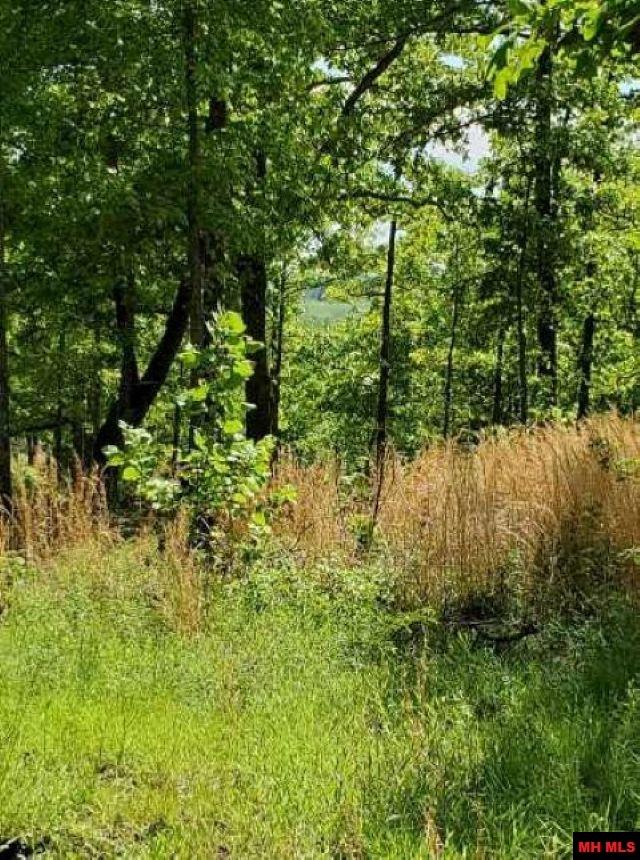 6537 Mount Calm Road