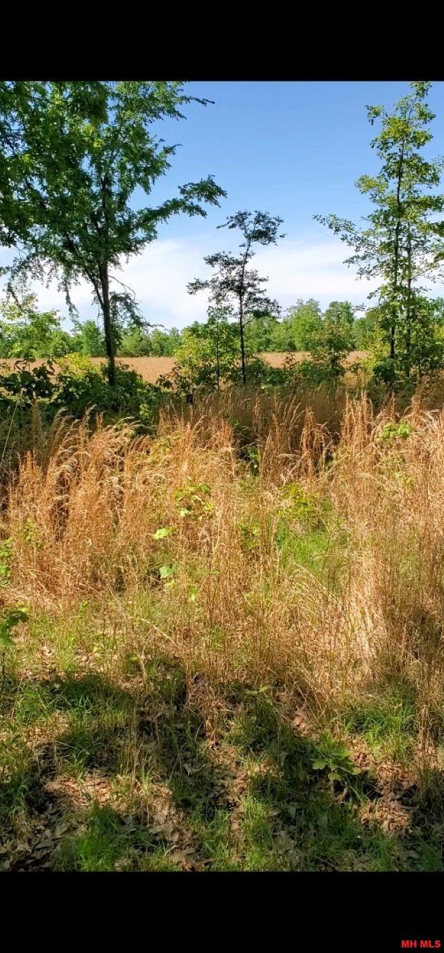 6537 Mount Calm Road