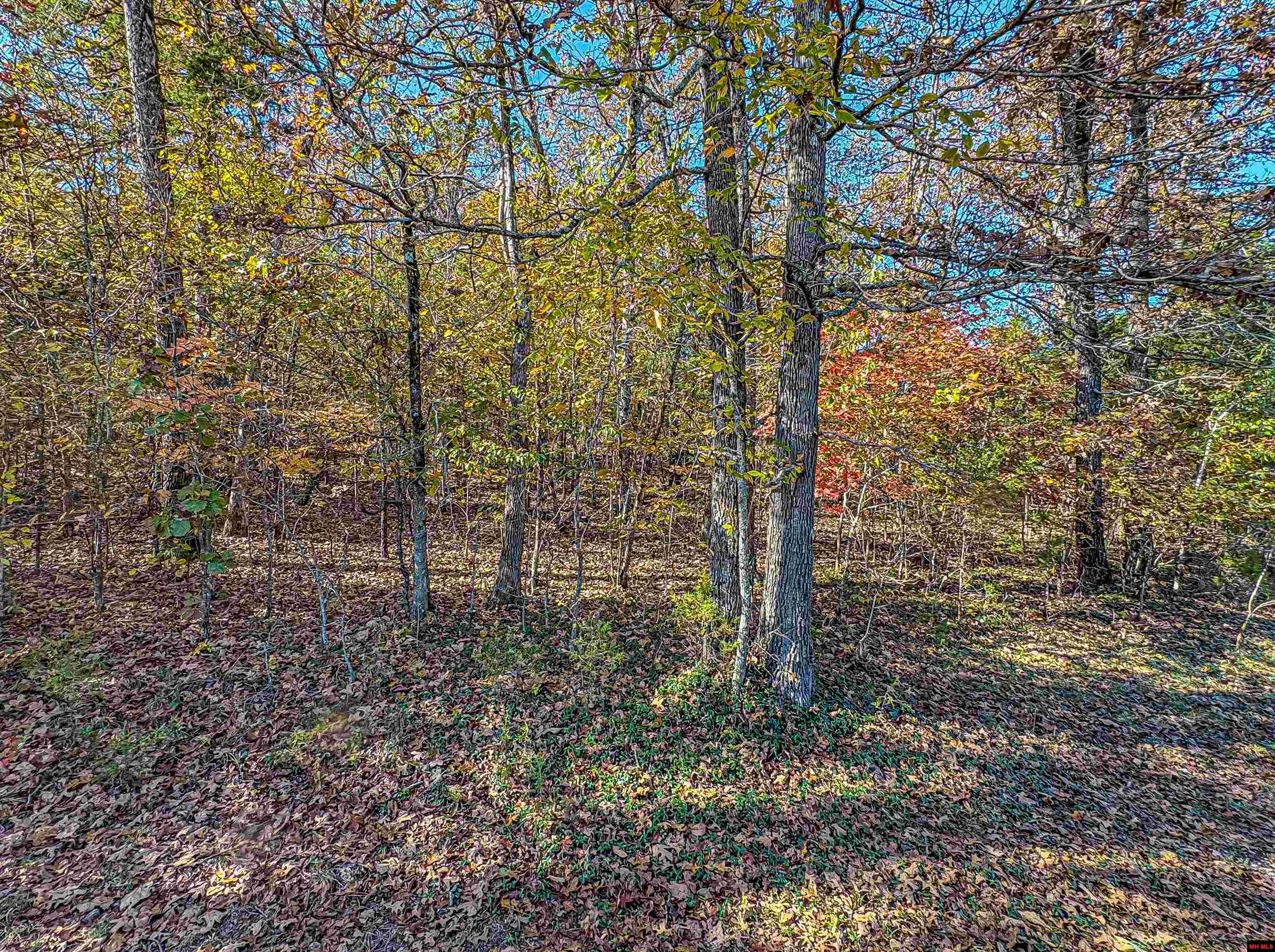 1113 Thousand Oaks Drive