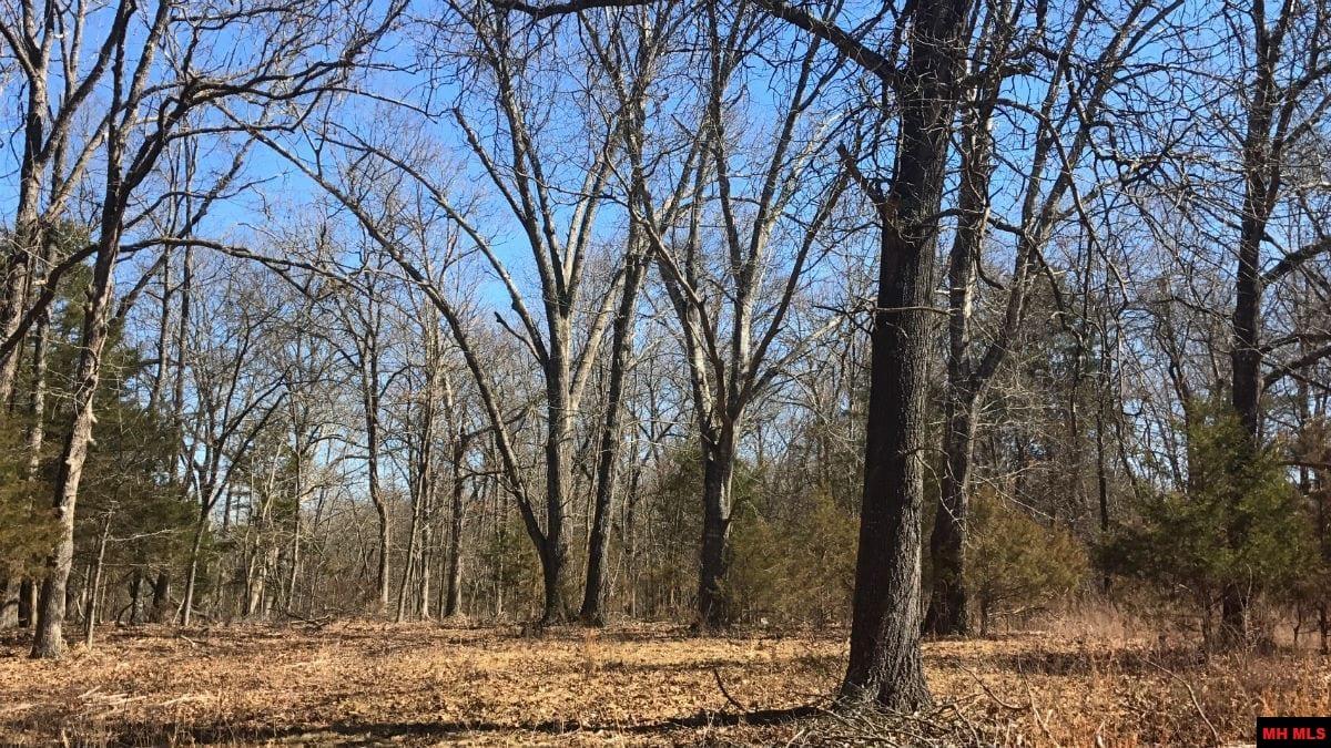 Tract 13 & 14 Timber Shoals Road