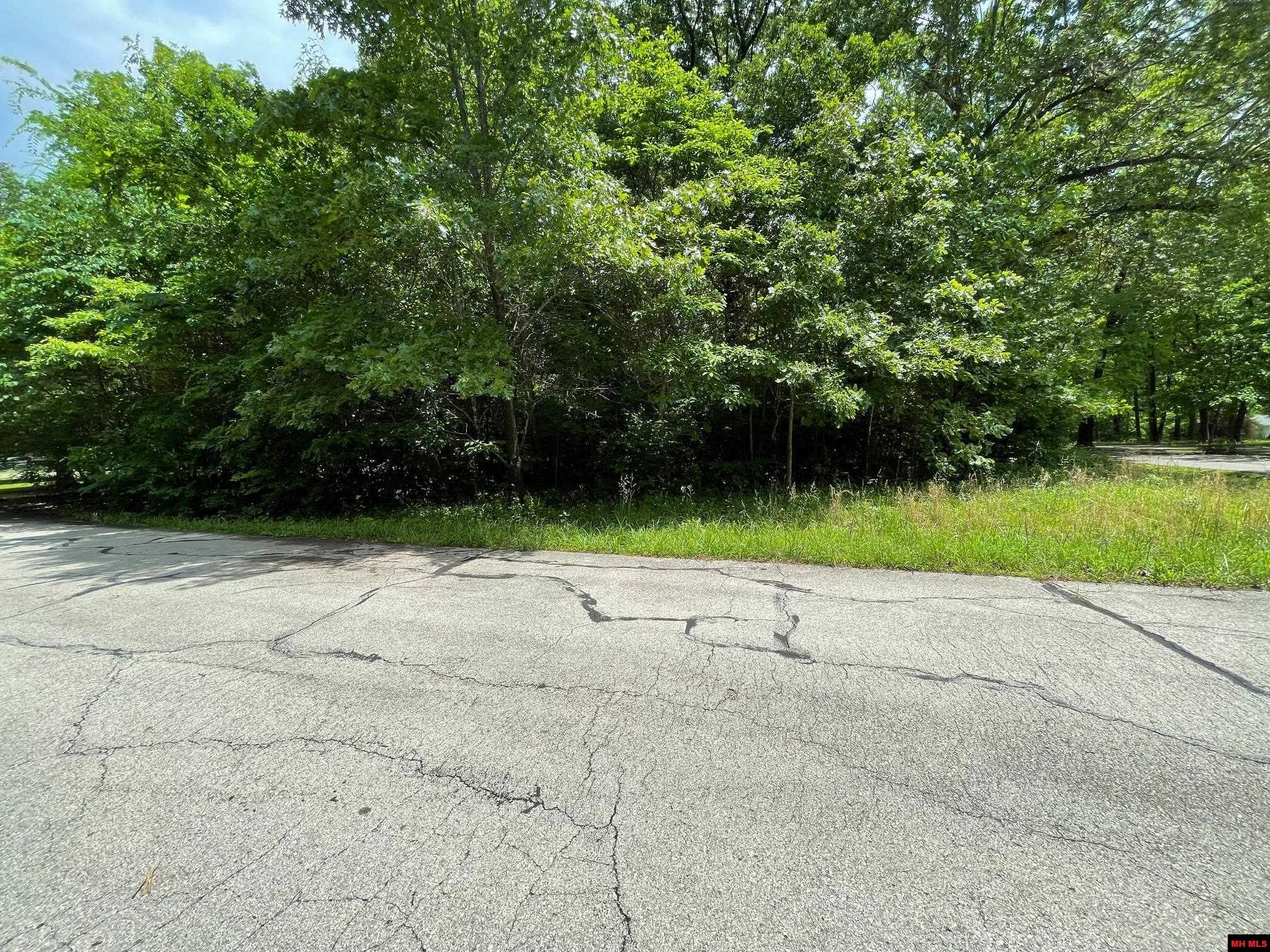 Lots 7 & 8 Deer Path Drive