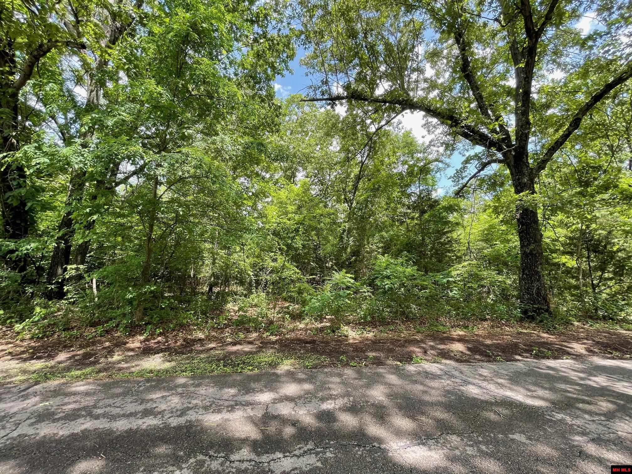 Lots 7 & 8 Deer Path Drive