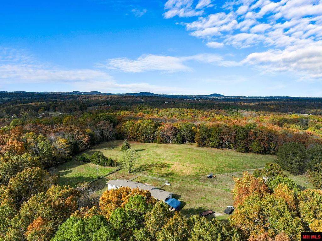 83 STEELE HILL LANE Mountain Home, AR