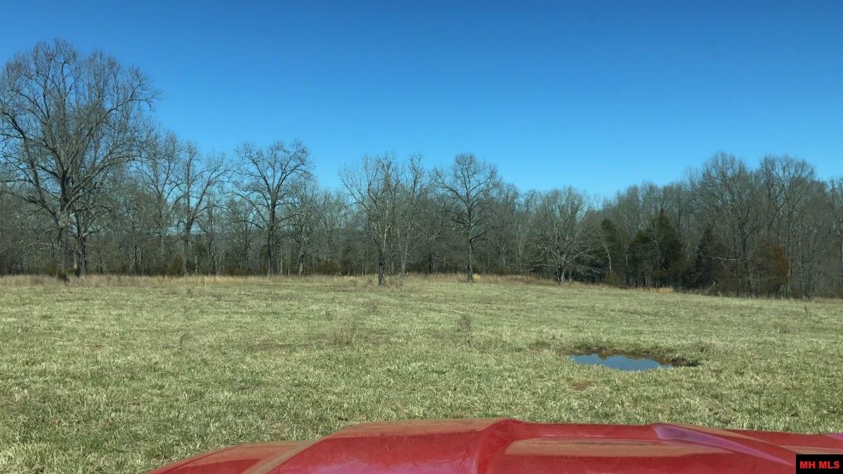 Tract 13 Timber Shoals Road