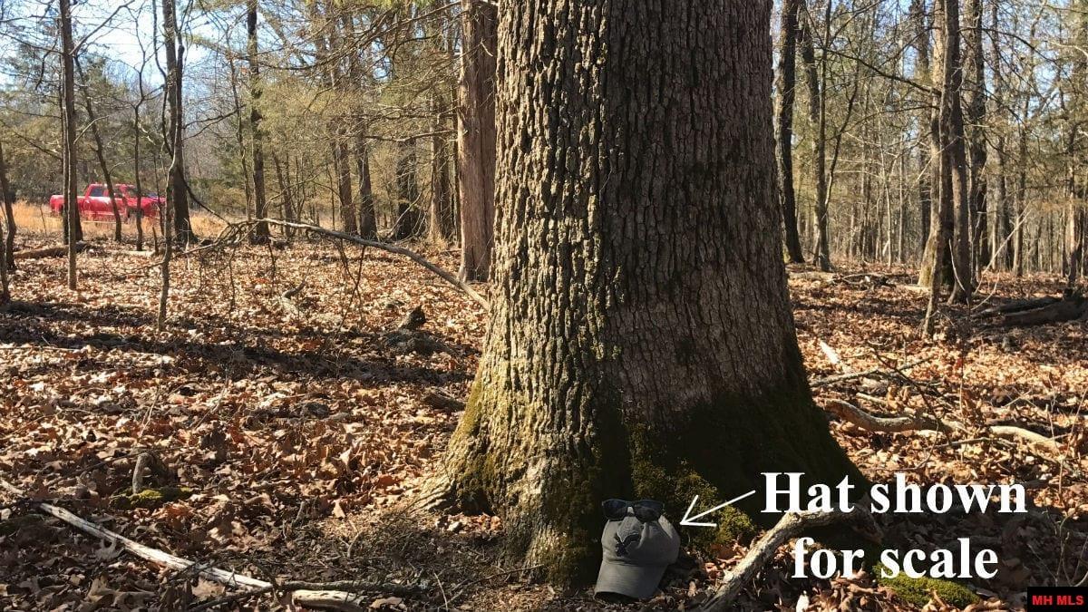 Tract 14 Timber Shoals Road