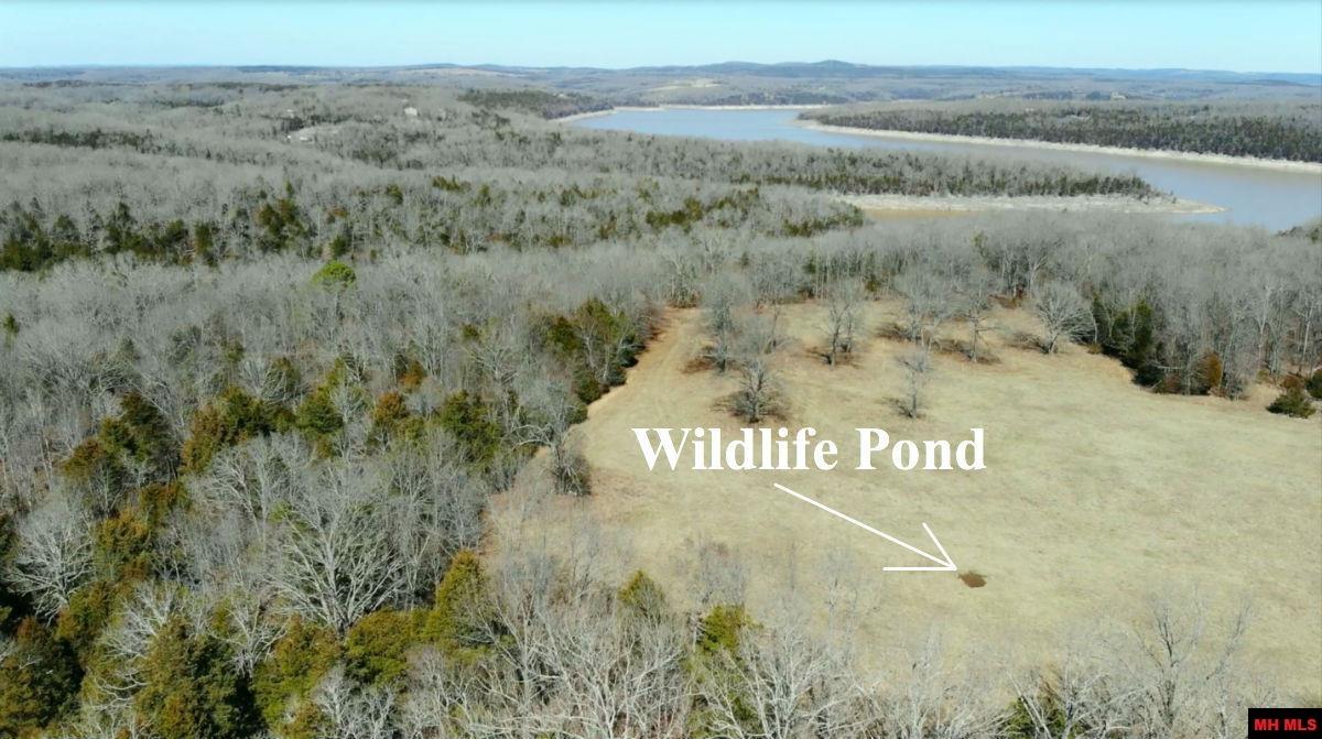 Tract 14 Timber Shoals Road