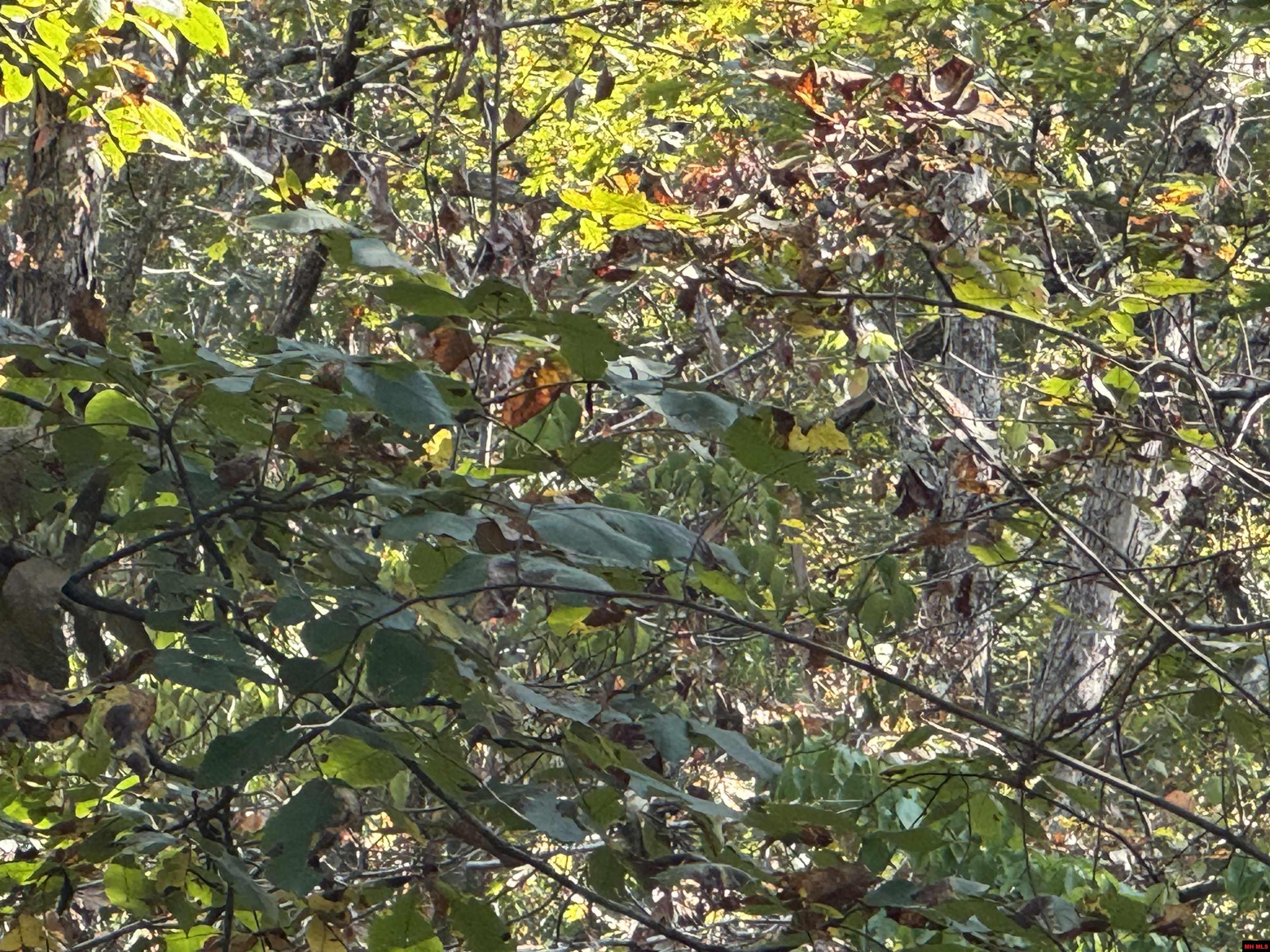 575-00021-000 Hillside Road