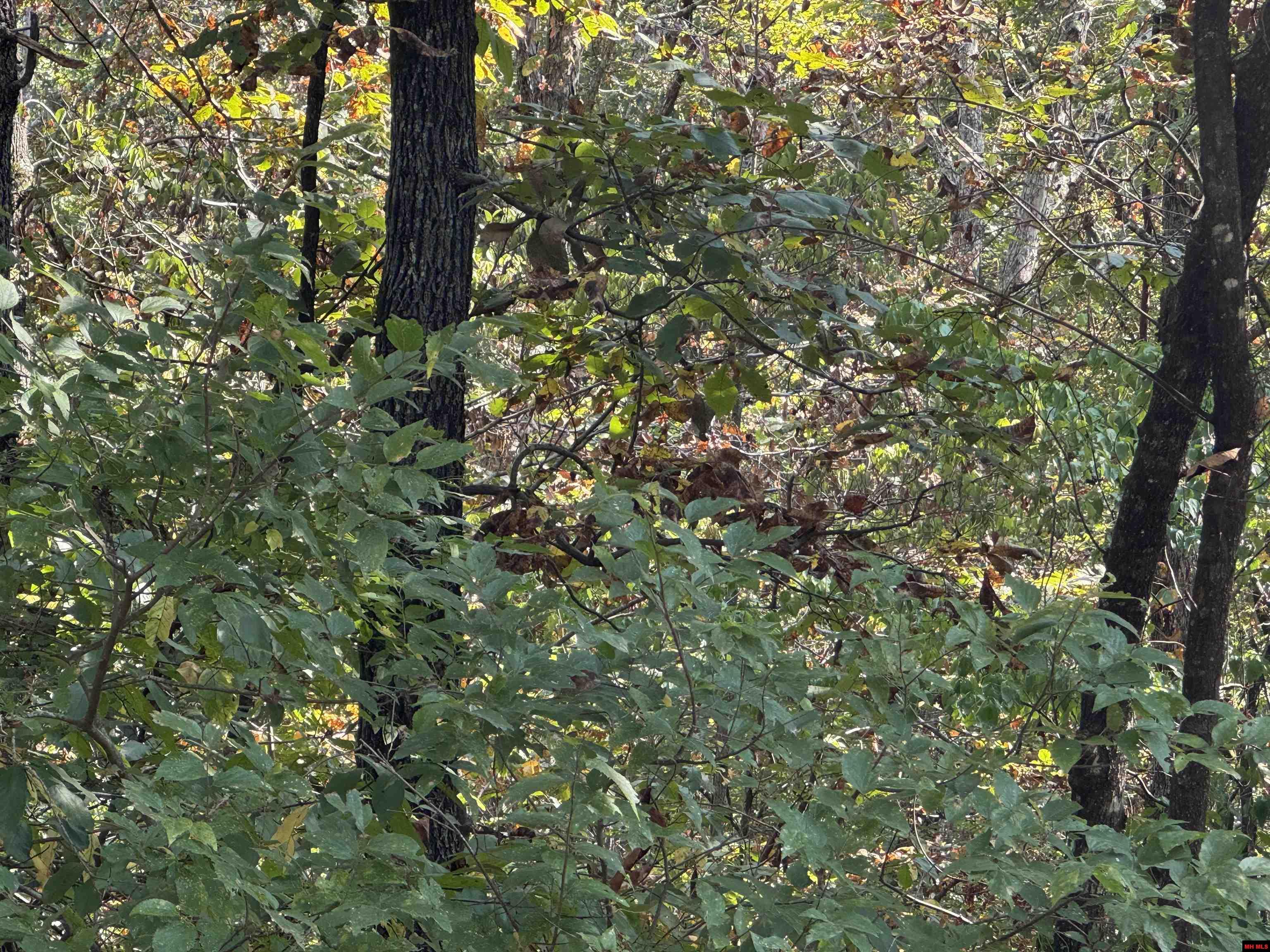 575-00021-000 Hillside Road