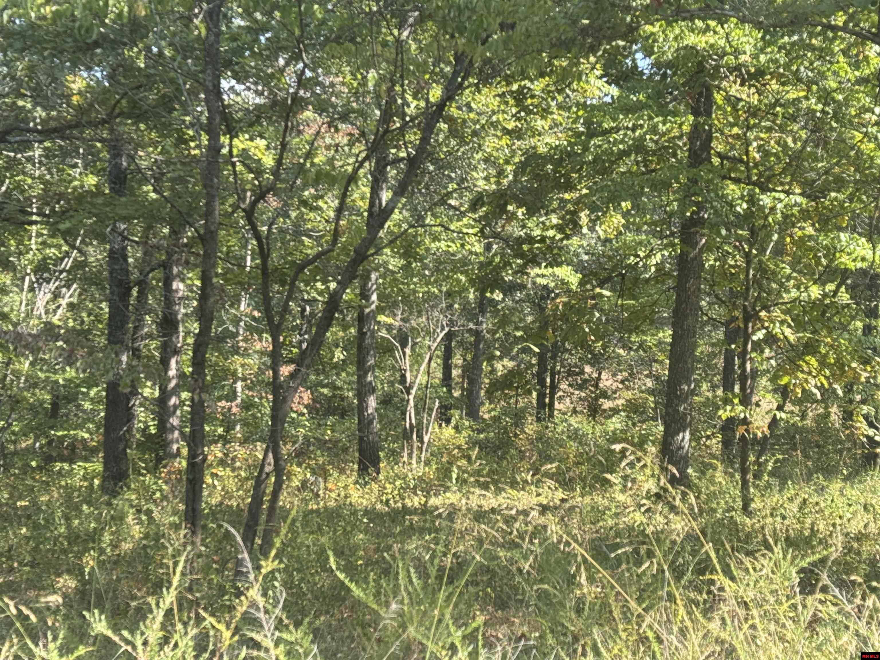 575-00021-000 Hillside Road