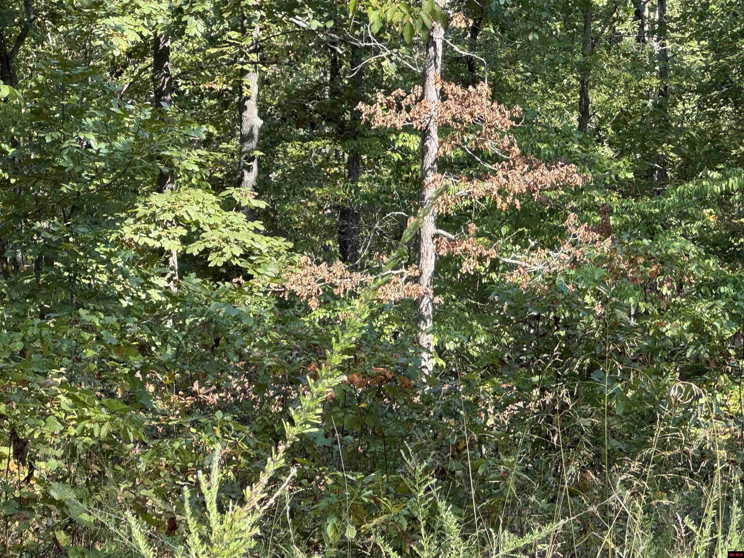 575-00021-000 Hillside Road